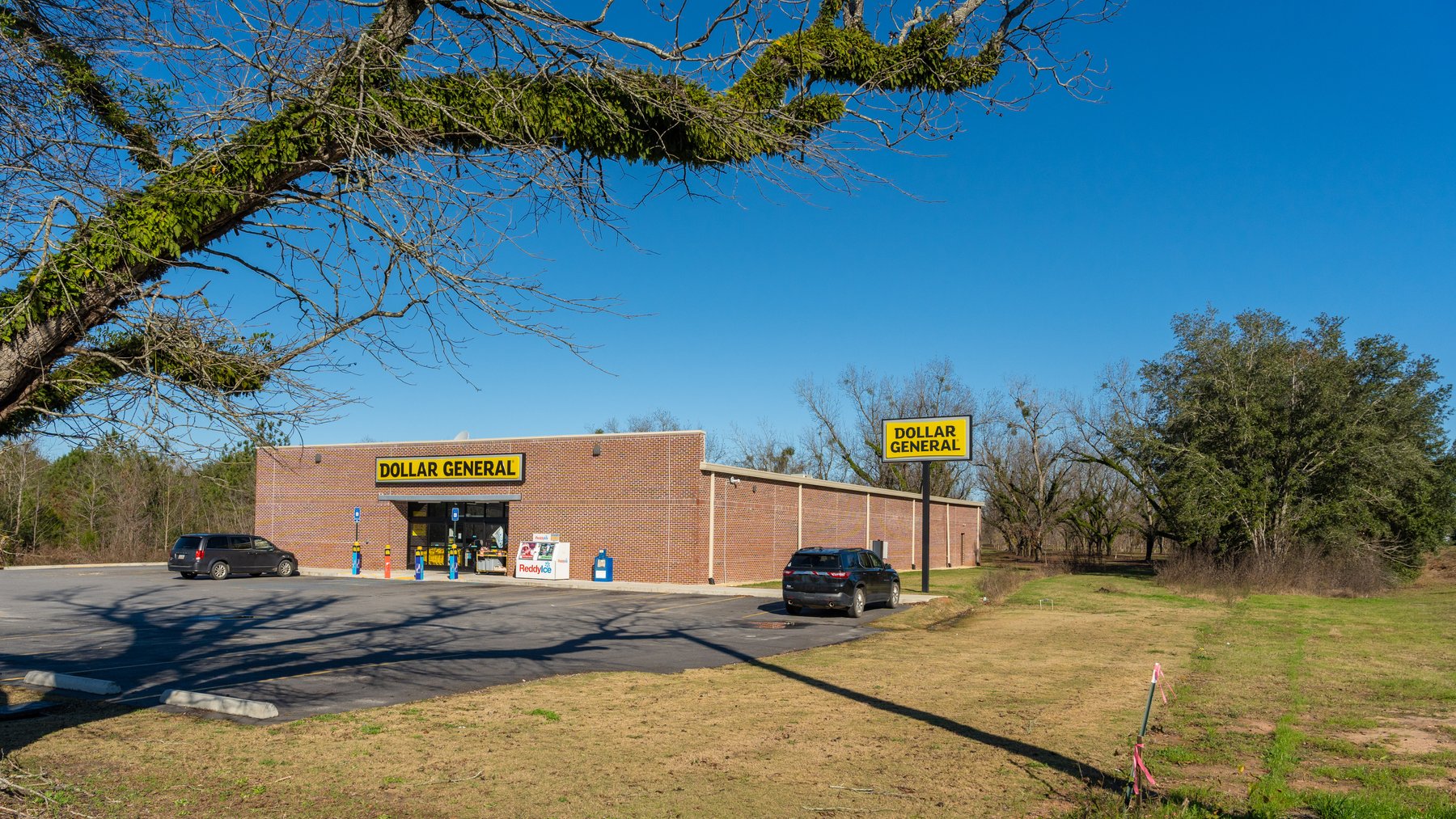 Image for 175+/- Acres - Cecil Tara Grove - Turn-Key Pecan Operation