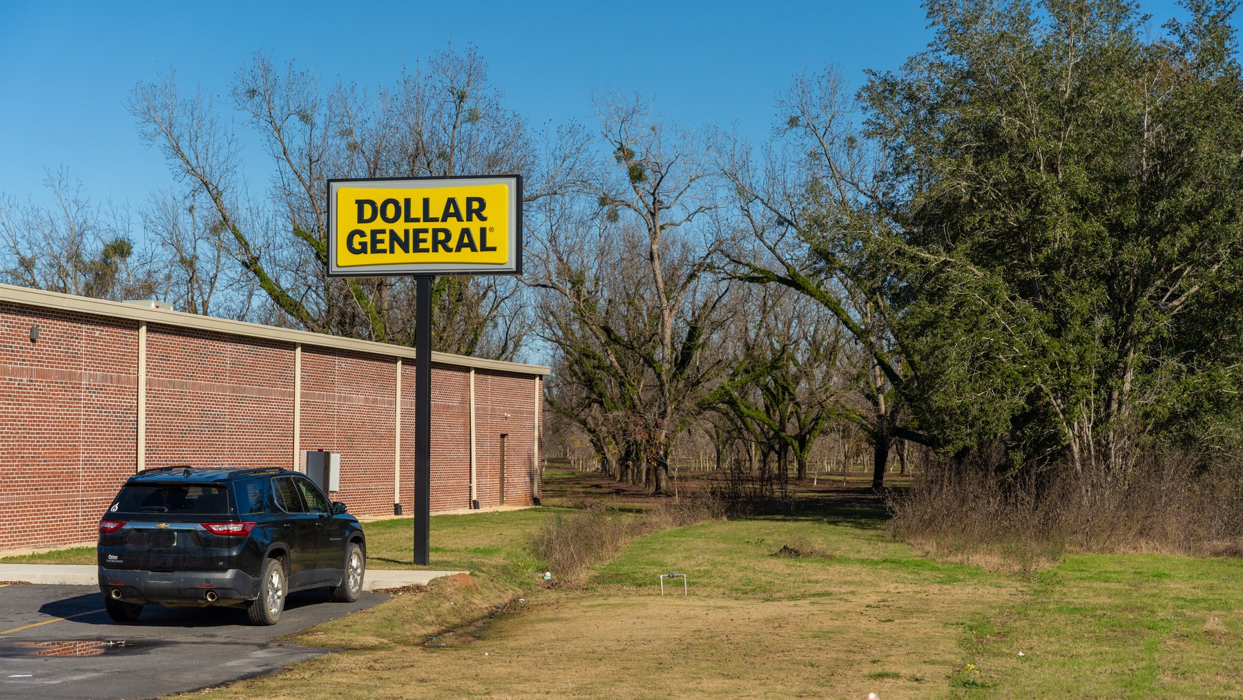 Image for 175+/- Acres - Cecil Tara Grove - Turn-Key Pecan Operation