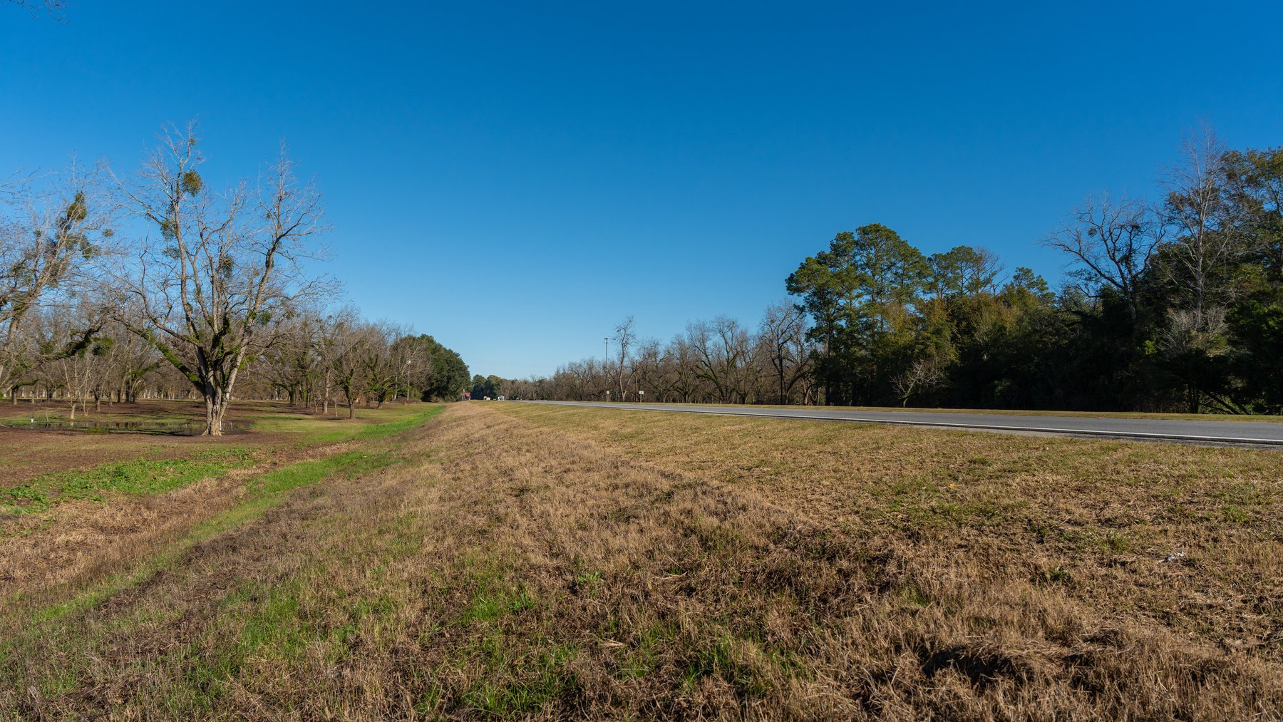 Image for 175+/- Acres - Cecil Tara Grove - Turn-Key Pecan Operation
