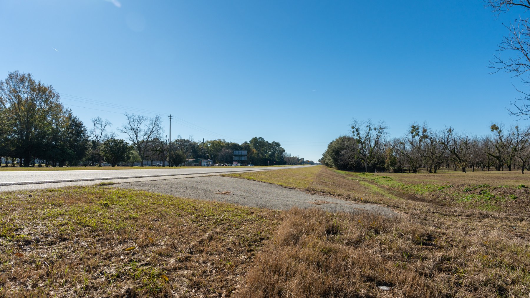 Image for 175+/- Acres - Cecil Tara Grove - Turn-Key Pecan Operation