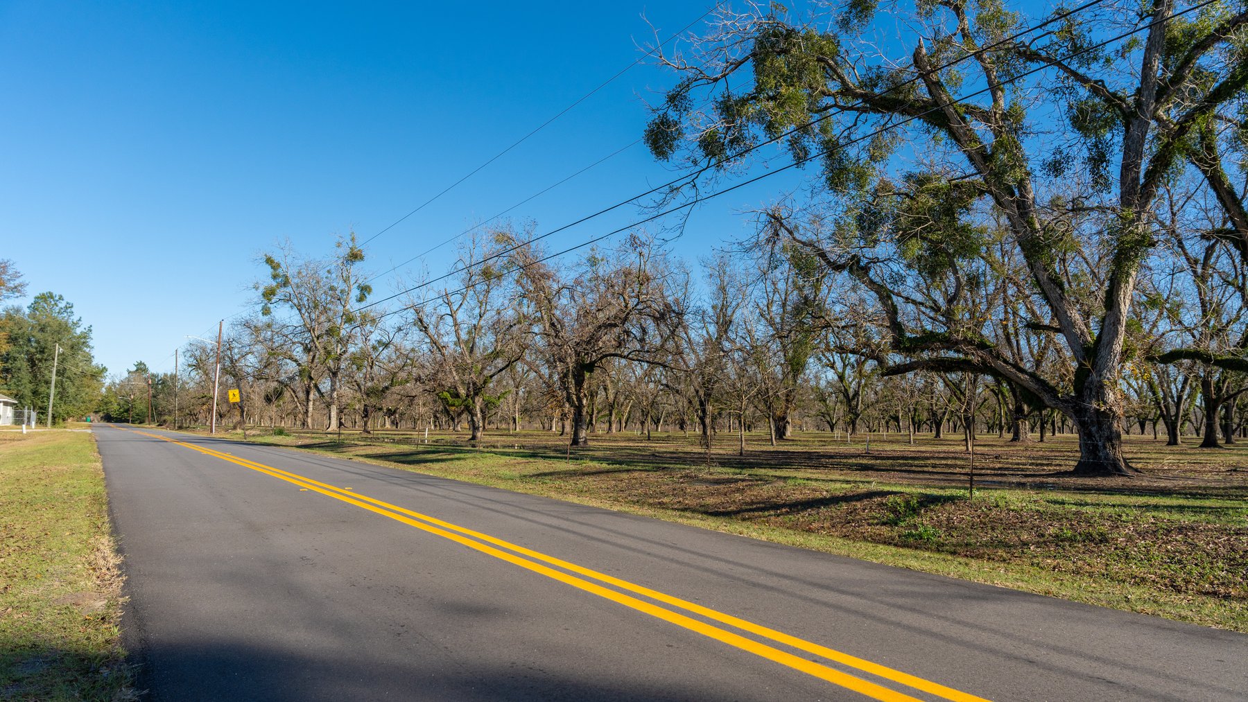 Image for 175+/- Acres - Cecil Tara Grove - Turn-Key Pecan Operation