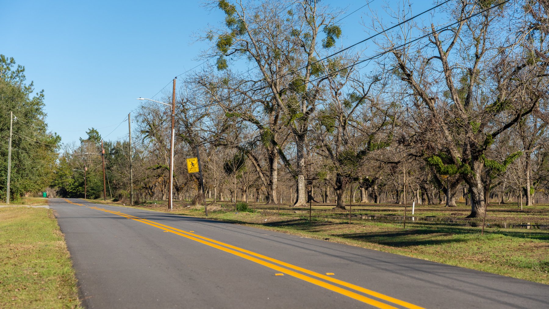 Image for 175+/- Acres - Cecil Tara Grove - Turn-Key Pecan Operation