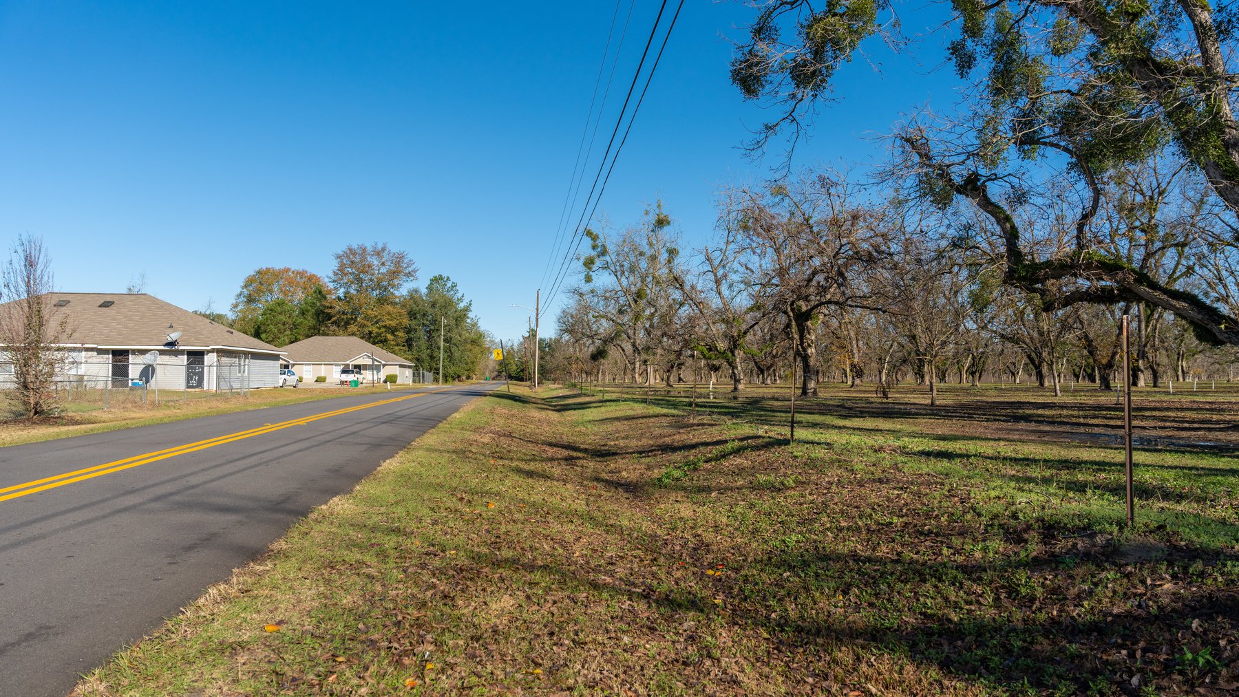 Image for 175+/- Acres - Cecil Tara Grove - Turn-Key Pecan Operation