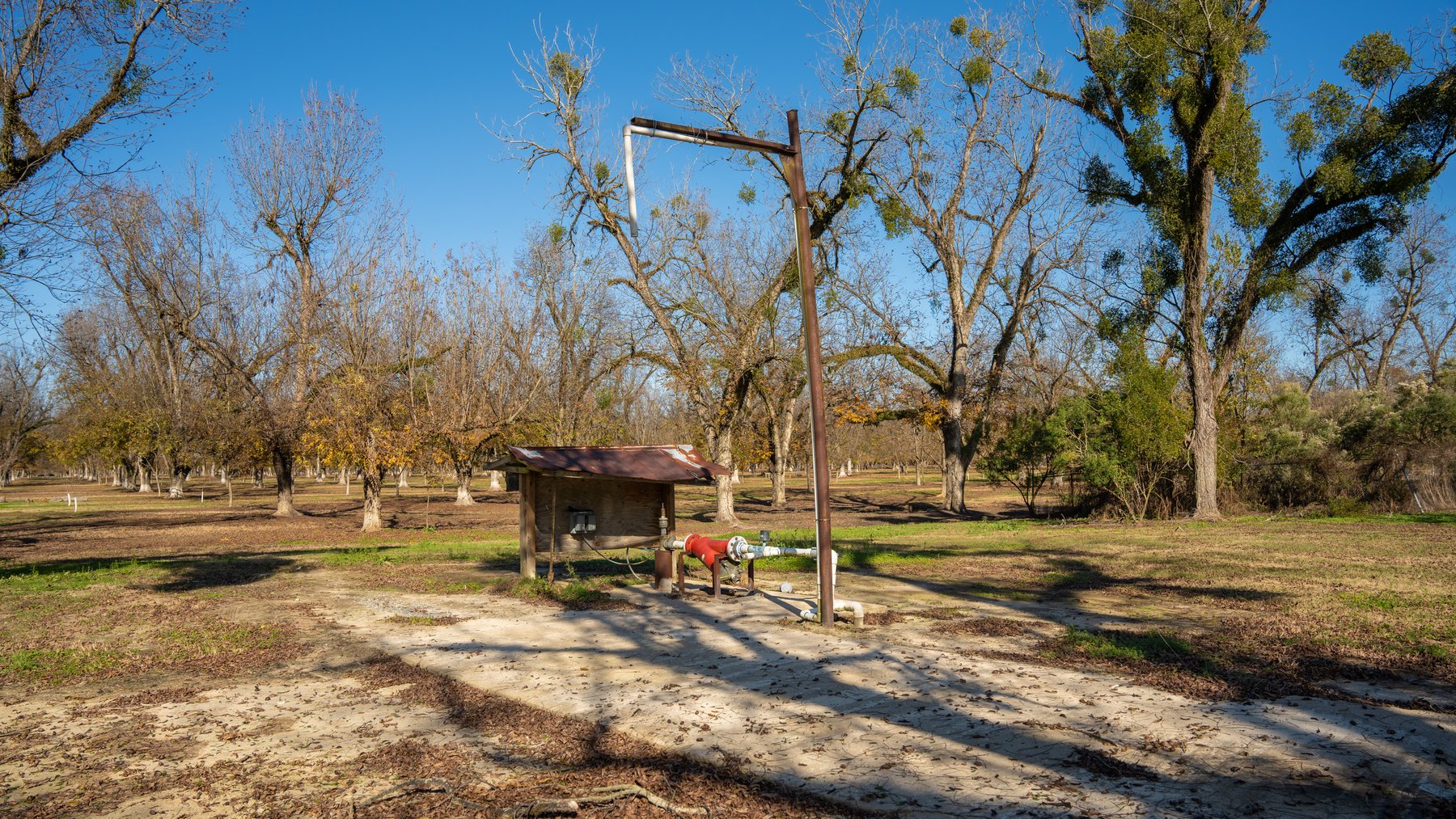 Image for 175+/- Acres - Cecil Tara Grove - Turn-Key Pecan Operation