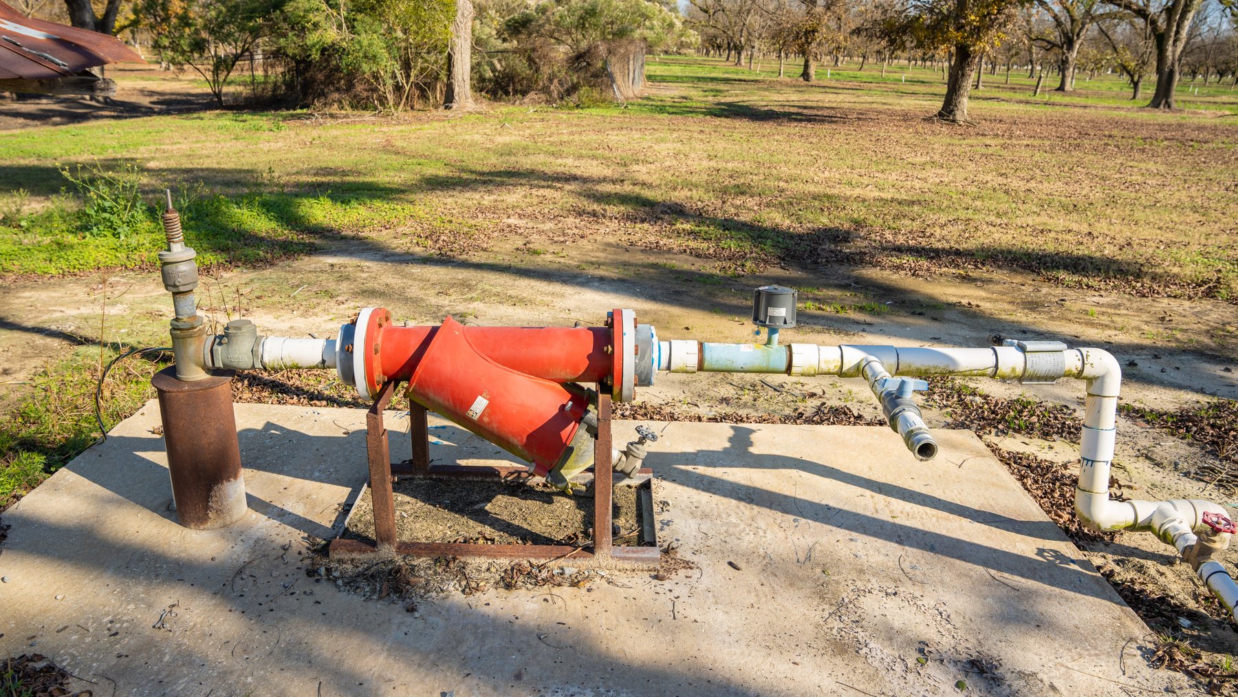 Image for 175+/- Acres - Cecil Tara Grove - Turn-Key Pecan Operation