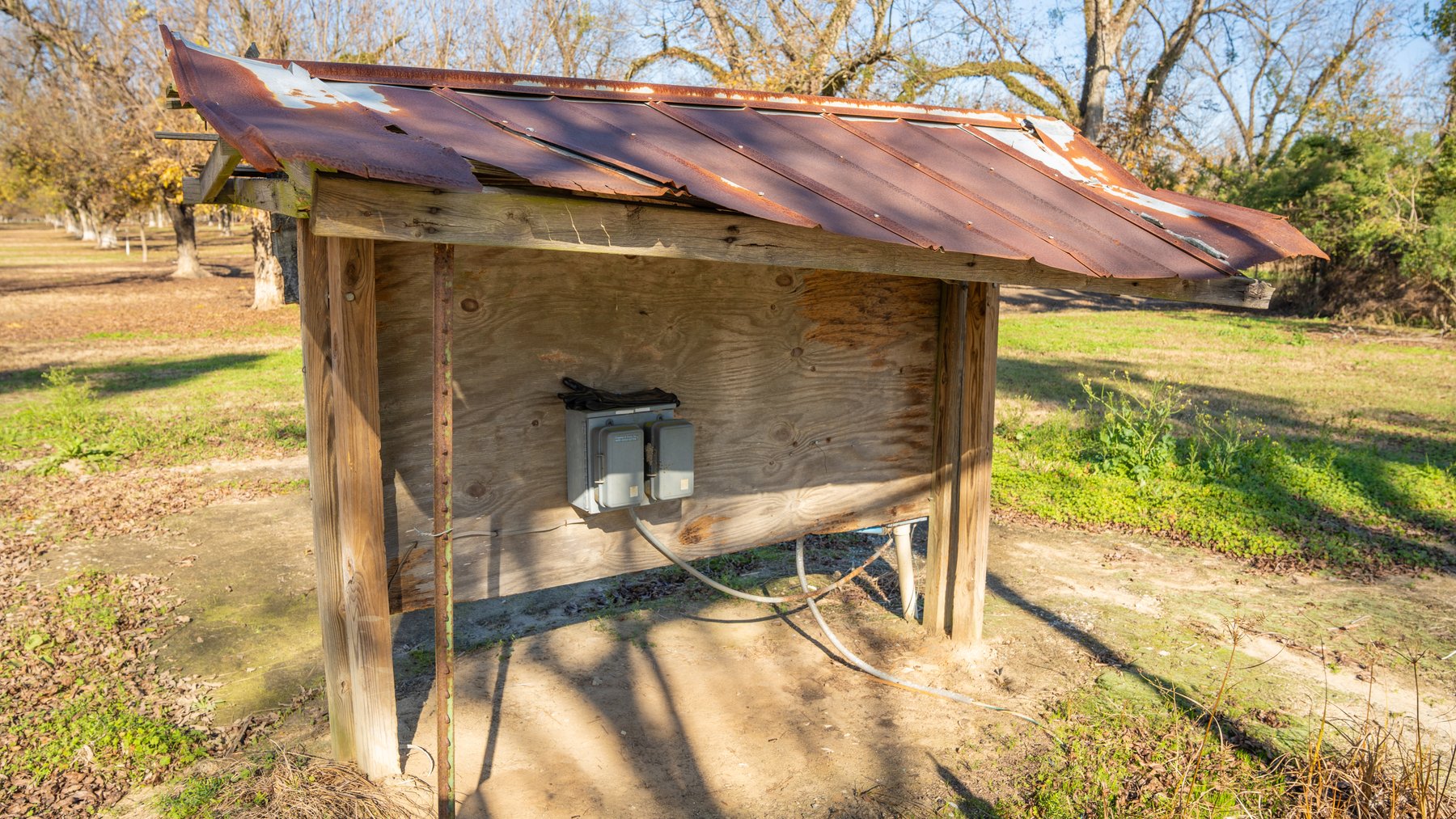 Image for 175+/- Acres - Cecil Tara Grove - Turn-Key Pecan Operation