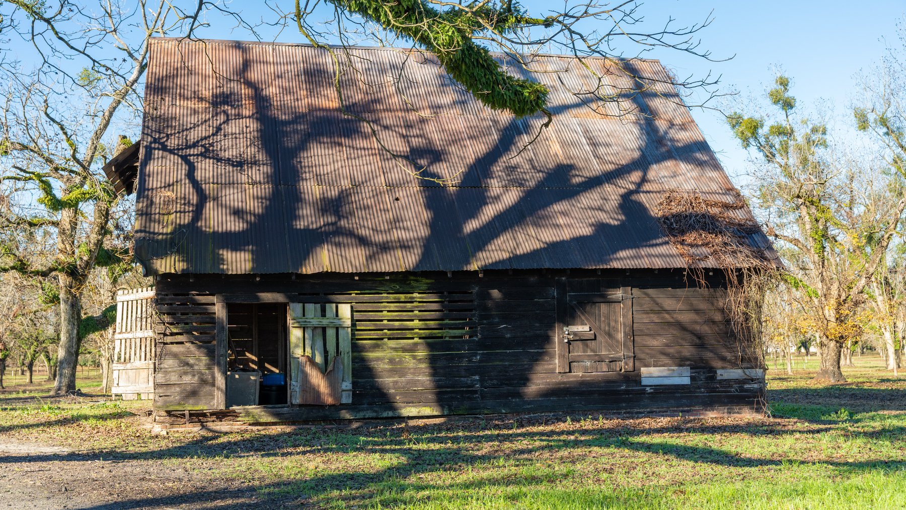 Image for 175+/- Acres - Cecil Tara Grove - Turn-Key Pecan Operation