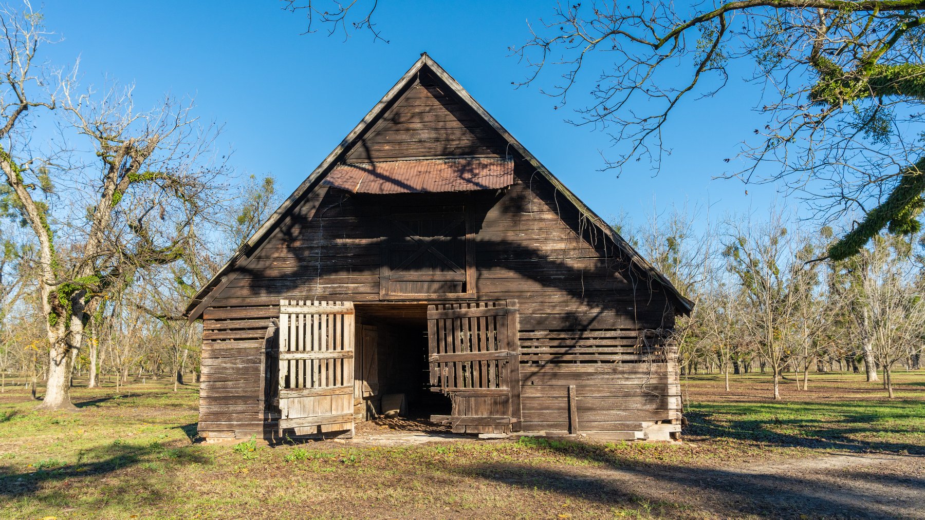 Image for 175+/- Acres - Cecil Tara Grove - Turn-Key Pecan Operation