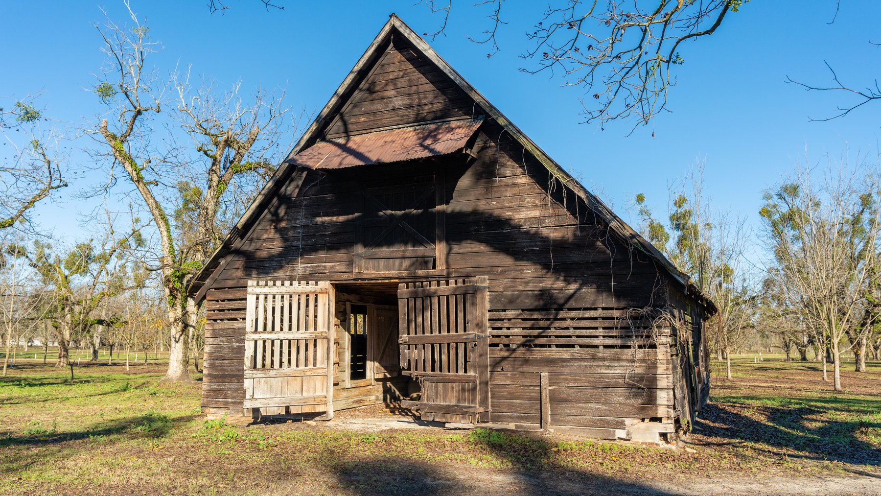 Image for 175+/- Acres - Cecil Tara Grove - Turn-Key Pecan Operation