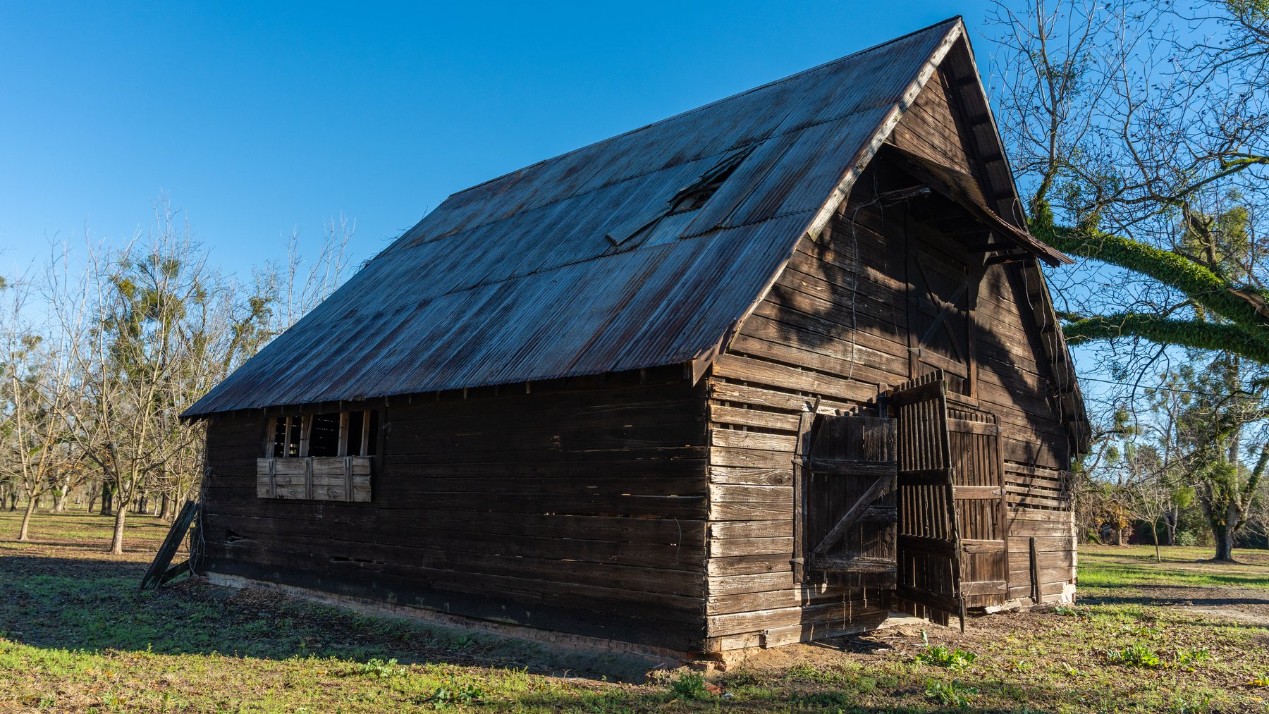 Image for 175+/- Acres - Cecil Tara Grove - Turn-Key Pecan Operation