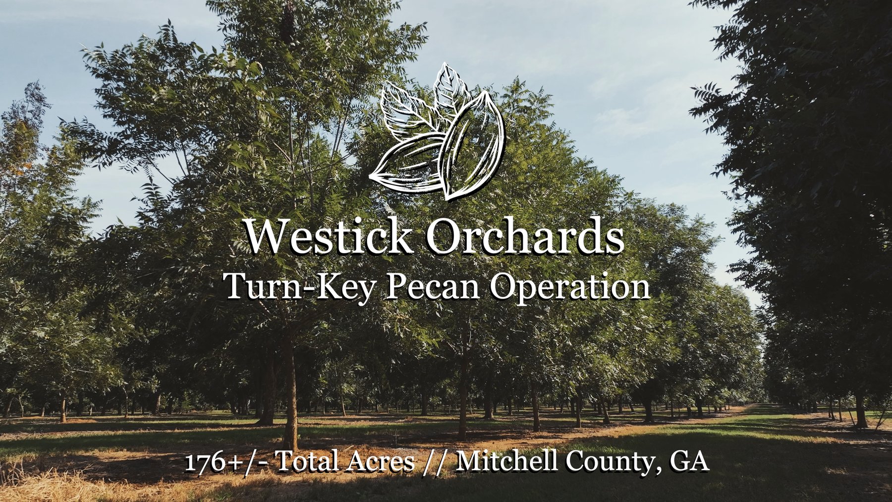 Image for 75+/- Acres - Vines Grove - Turn-Key Pecan Operation