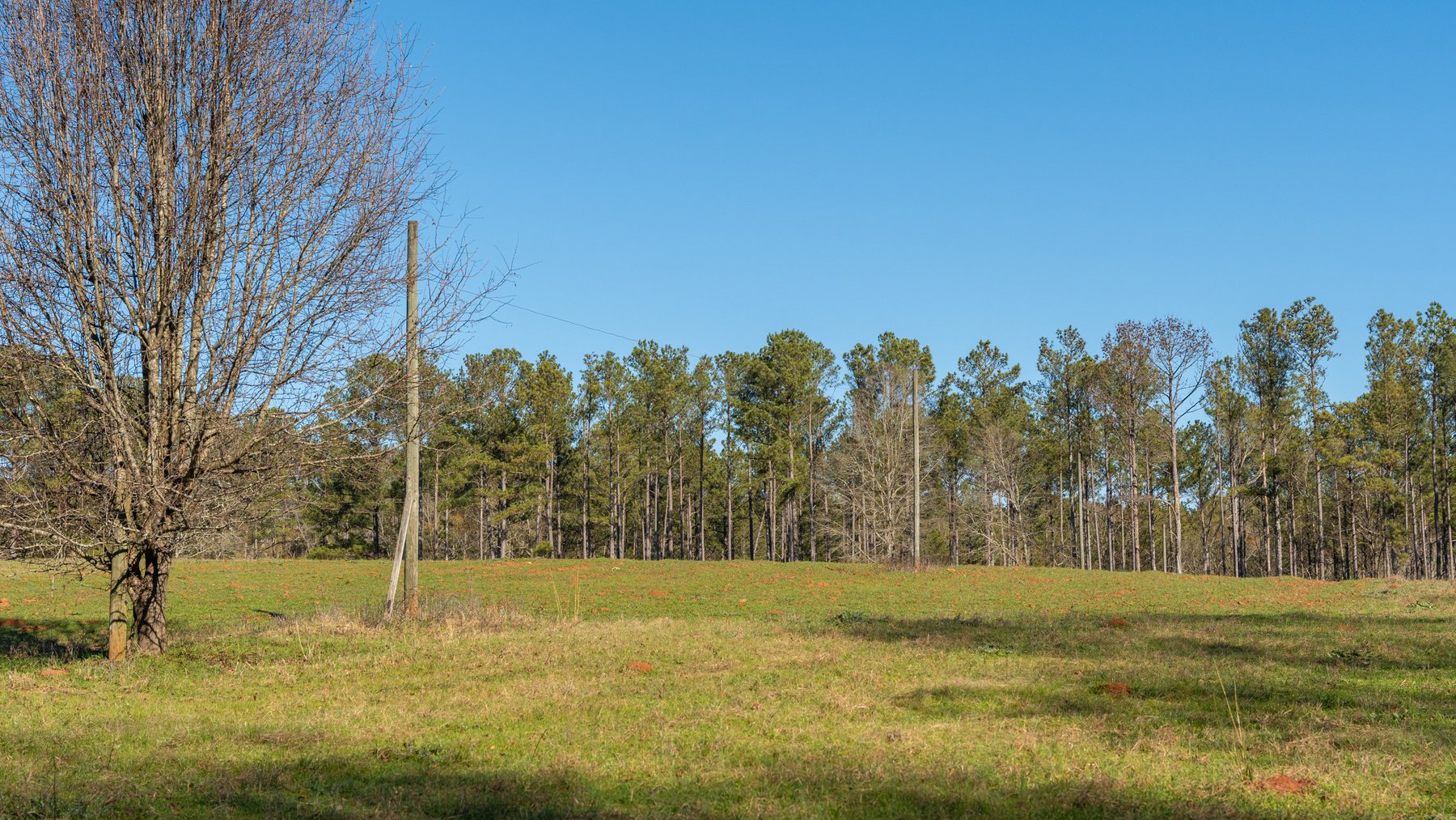 Image for Israel Creek Farms – 136+/- Acres with Custom Built Lodge