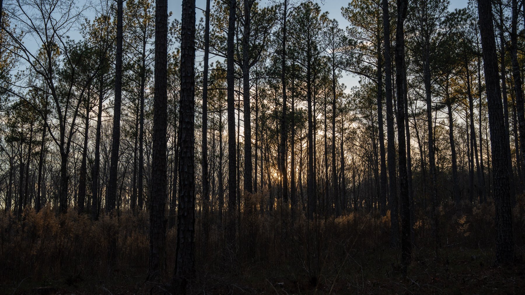 Image for Israel Creek Farms – 136+/- Acres with Custom Built Lodge