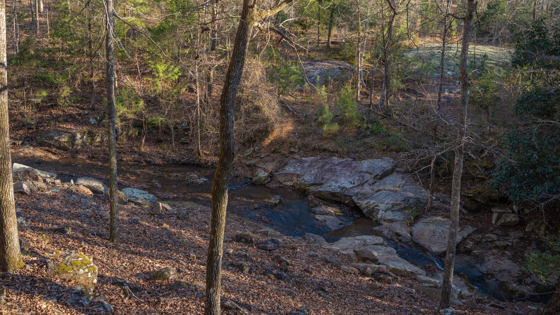 Image for Israel Creek Farms – 136+/- Acres with Custom Built Lodge