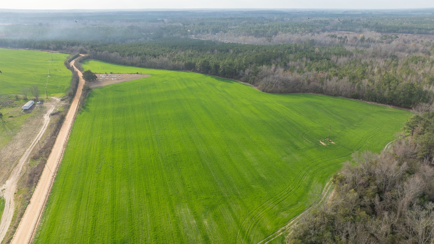 Image for The Graham Farm - 323+/- Acres - Dodge County, Georgia