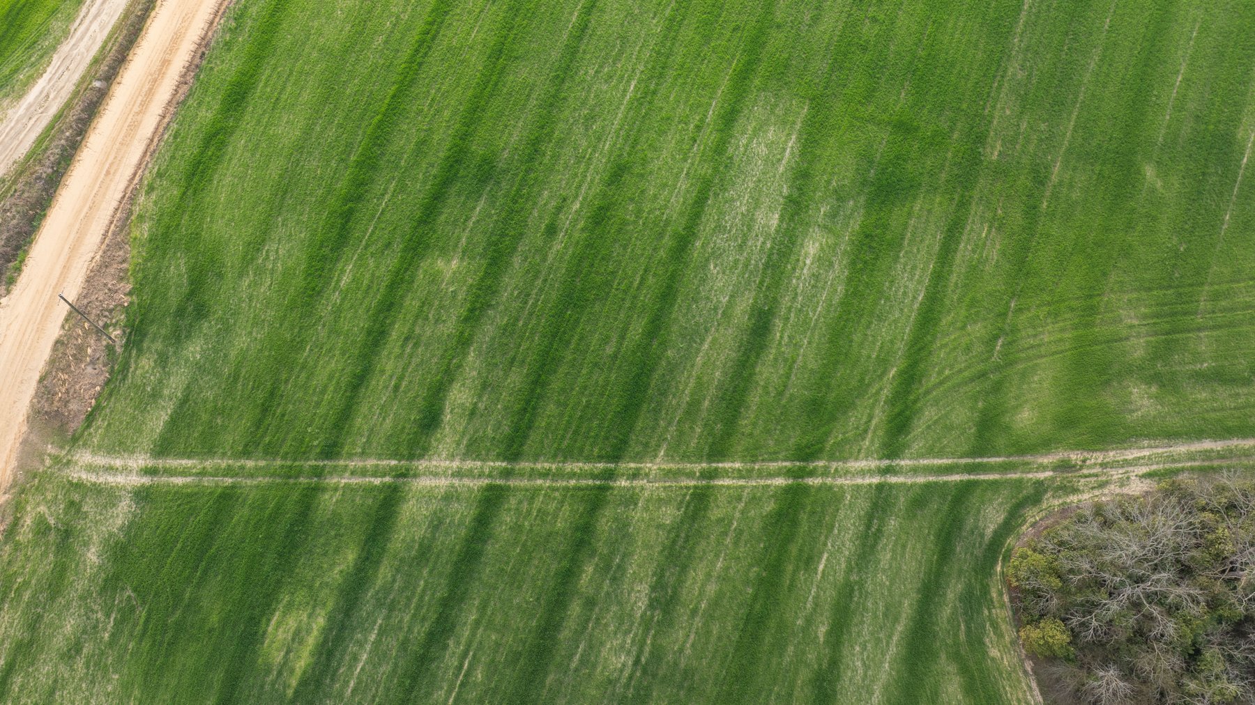 Image for The Graham Farm - 323+/- Acres - Dodge County, Georgia