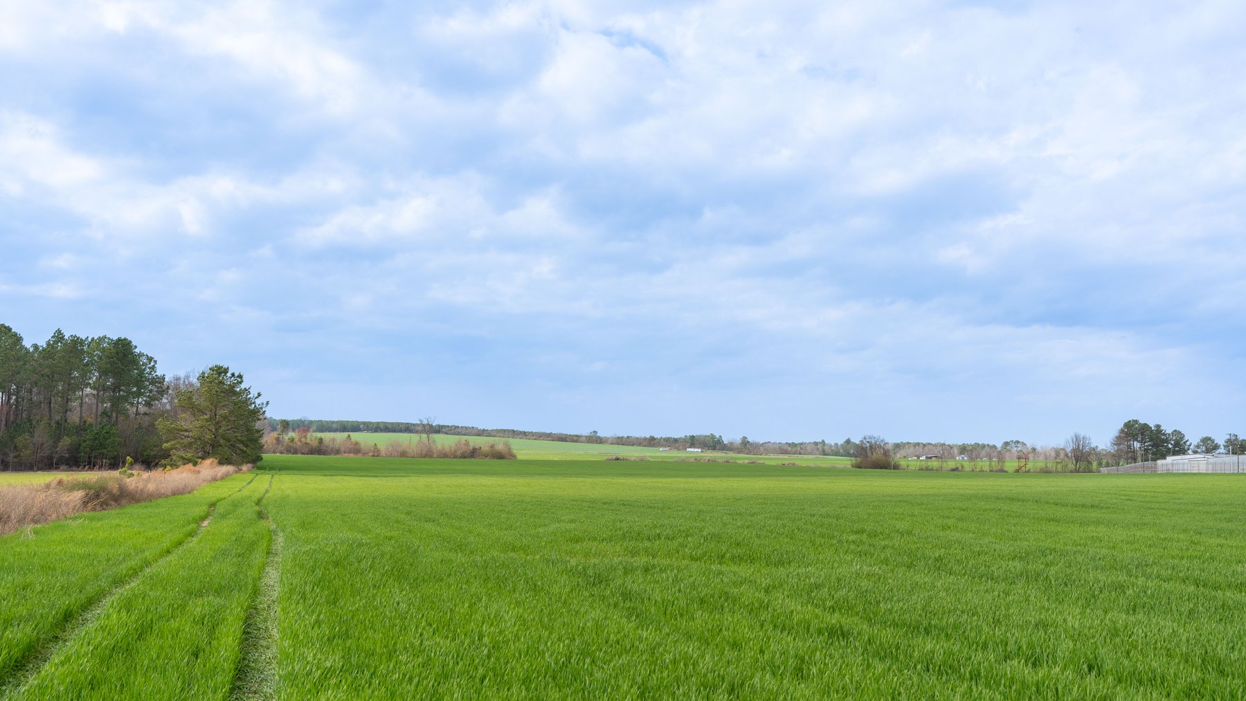 Image for The Graham Farm - 323+/- Acres - Dodge County, Georgia