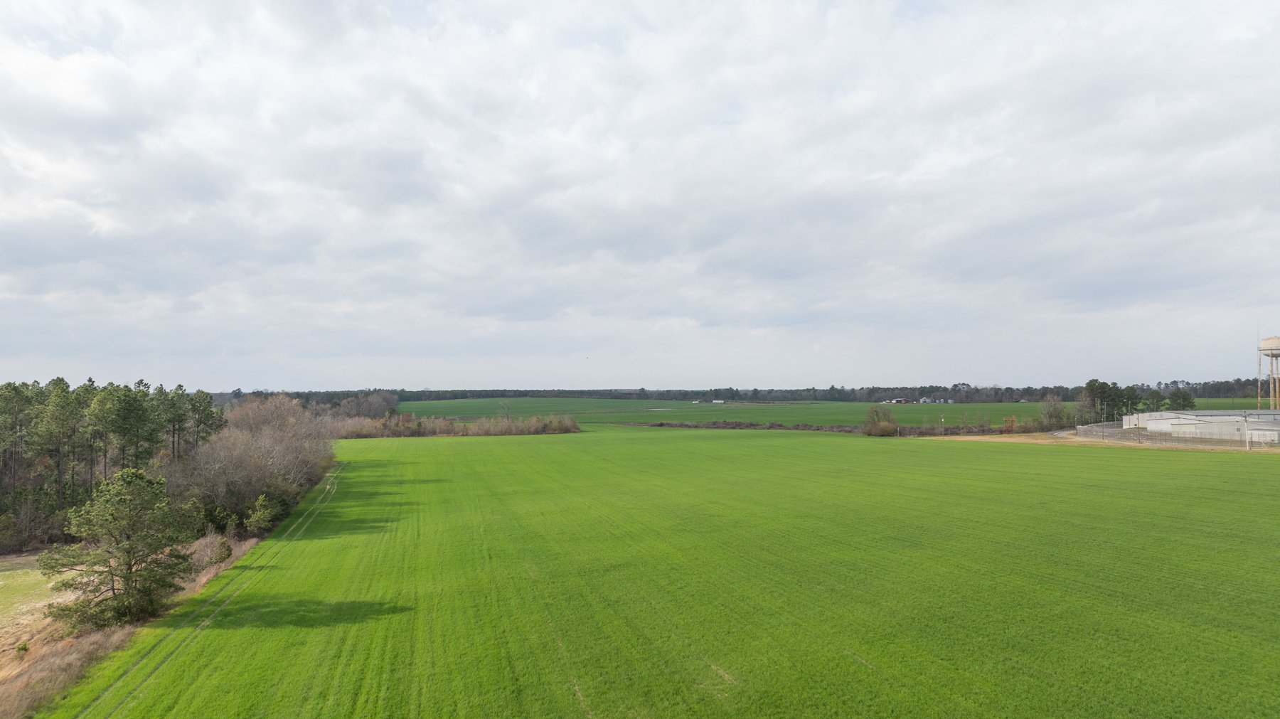 Image for The Graham Farm - 323+/- Acres - Dodge County, Georgia