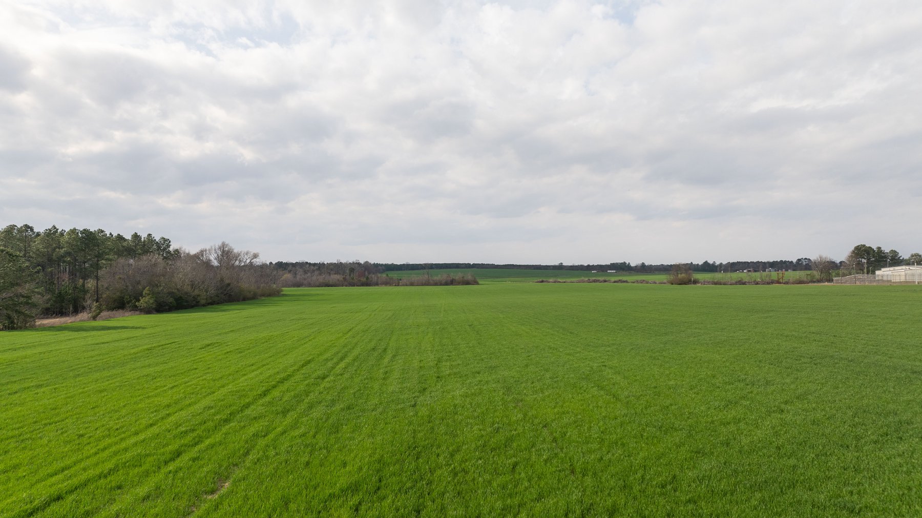 Image for The Graham Farm - 323+/- Acres - Dodge County, Georgia