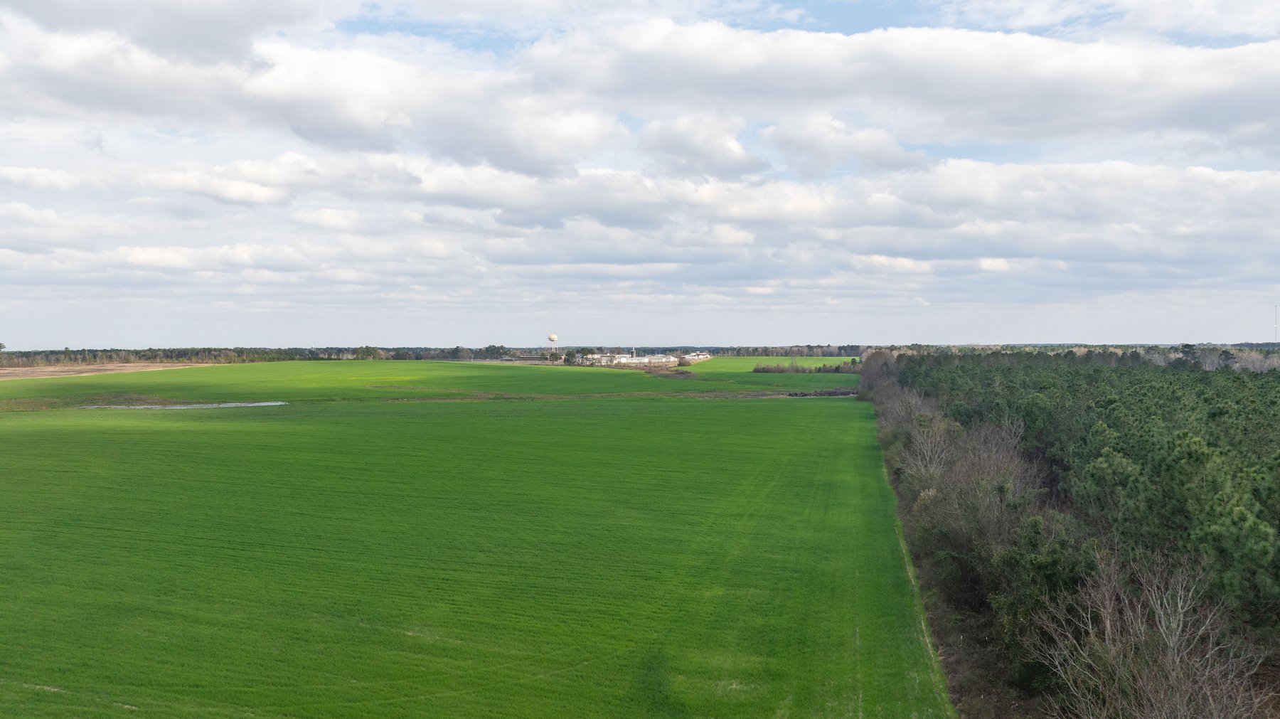 Image for The Graham Farm - 323+/- Acres - Dodge County, Georgia