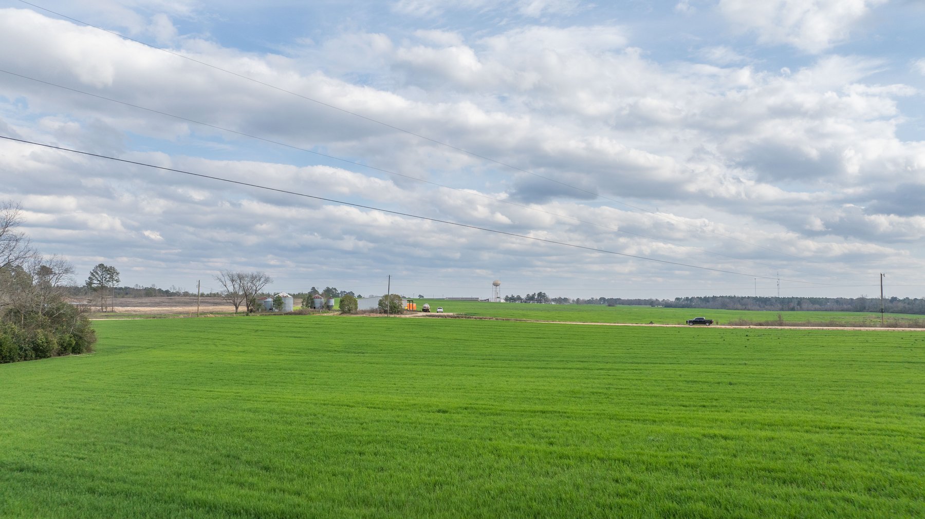 Image for The Graham Farm - 323+/- Acres - Dodge County, Georgia