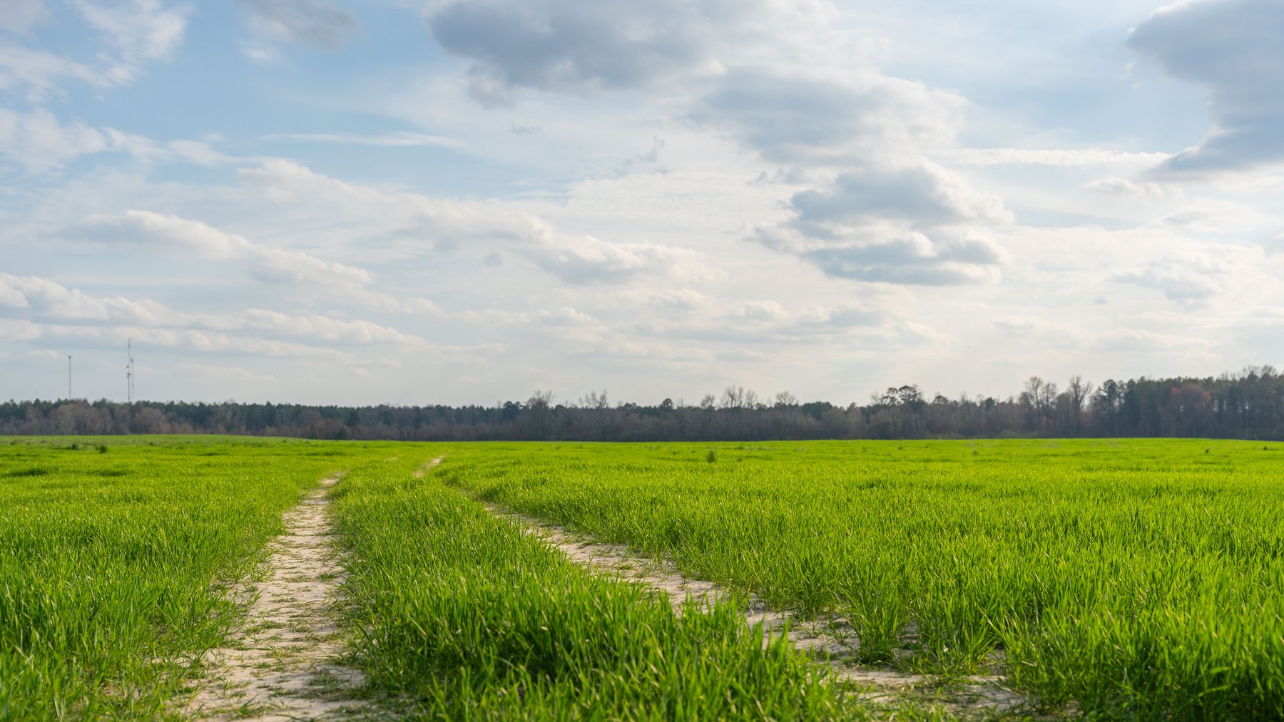 Image for The Graham Farm - 323+/- Acres - Dodge County, Georgia