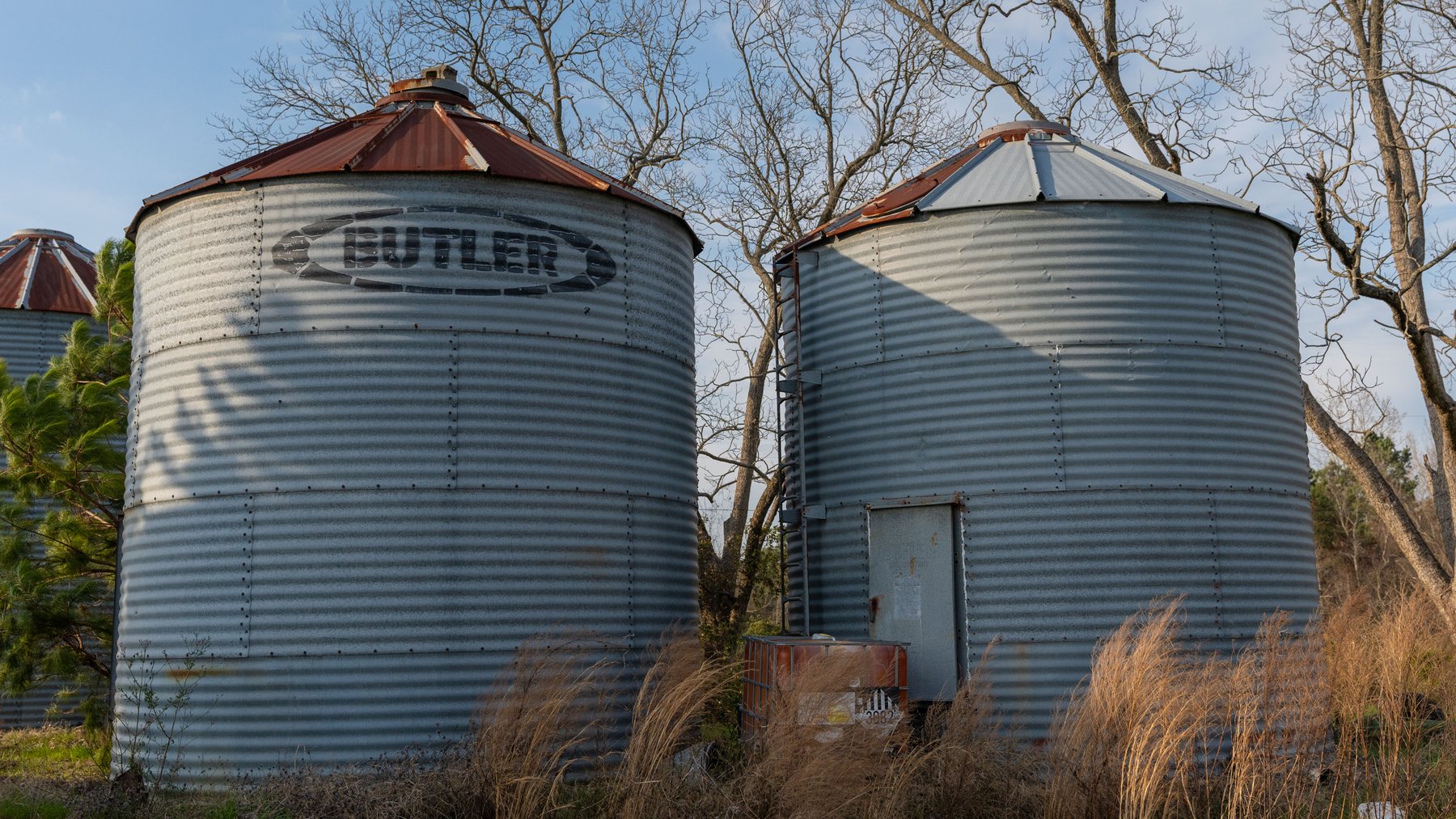 Image for The Graham Farm - 323+/- Acres - Dodge County, Georgia