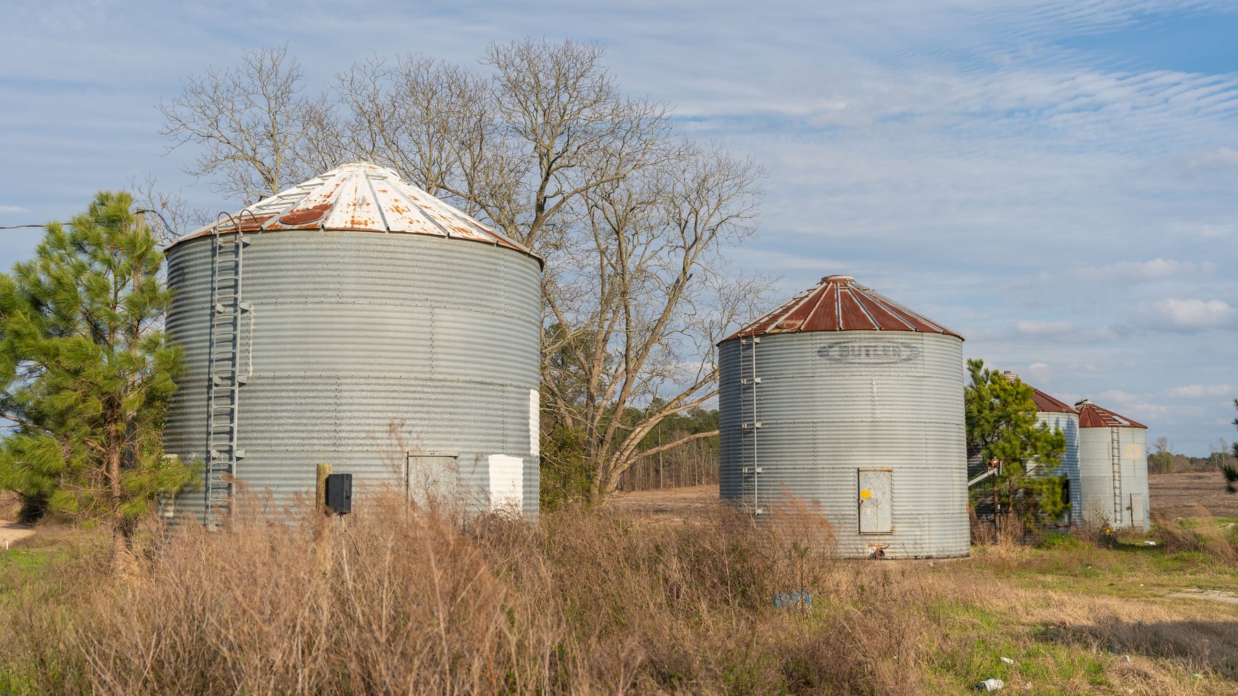 Image for The Graham Farm - 323+/- Acres - Dodge County, Georgia