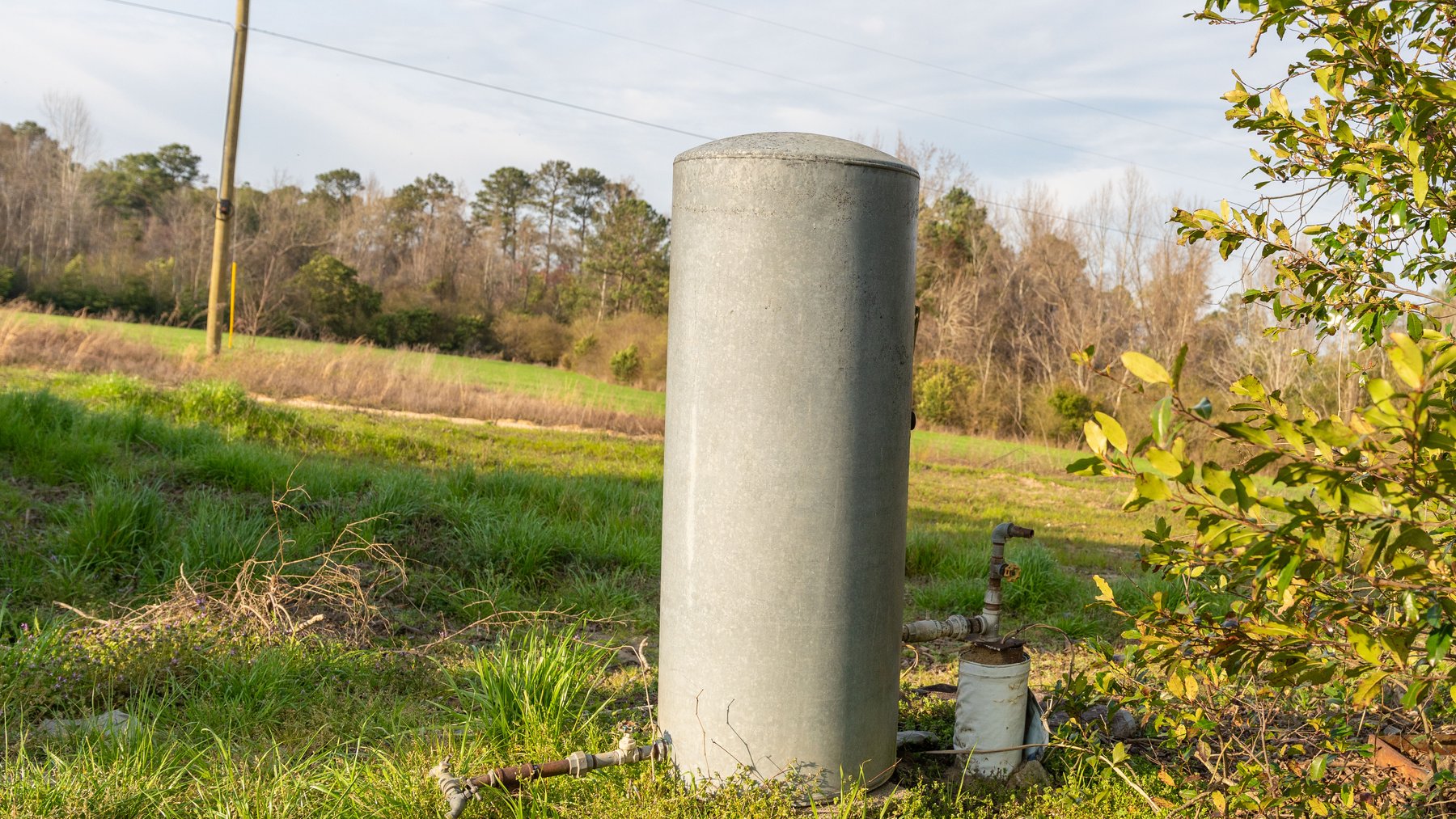 Image for The Graham Farm - 323+/- Acres - Dodge County, Georgia