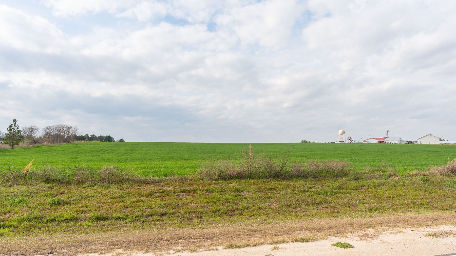 Image for The Graham Farm - 323+/- Acres - Dodge County, Georgia