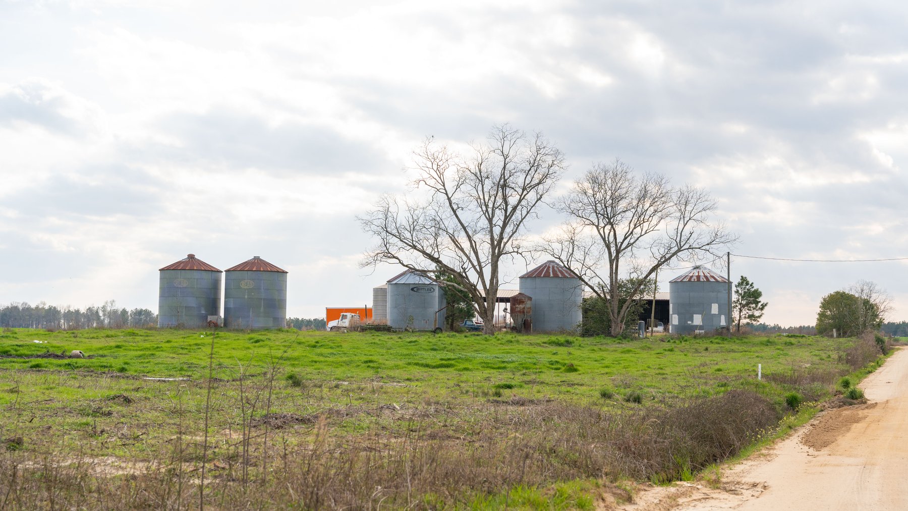 Image for The Graham Farm - 323+/- Acres - Dodge County, Georgia