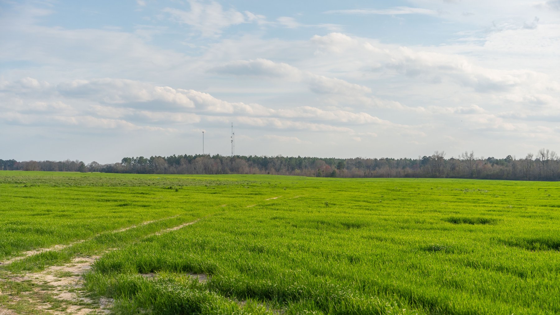 Image for The Graham Farm - 323+/- Acres - Dodge County, Georgia