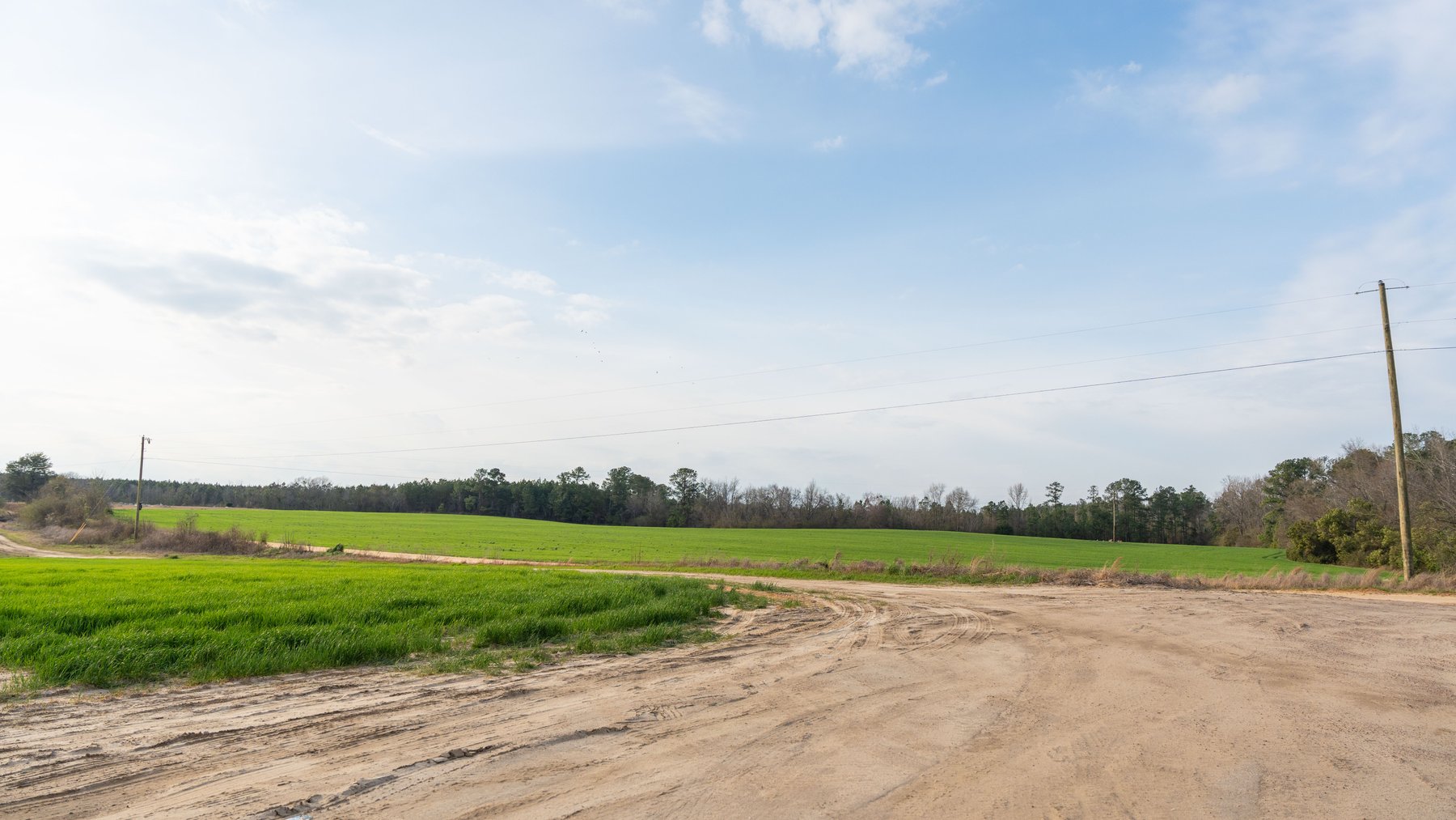 Image for The Graham Farm - 323+/- Acres - Dodge County, Georgia