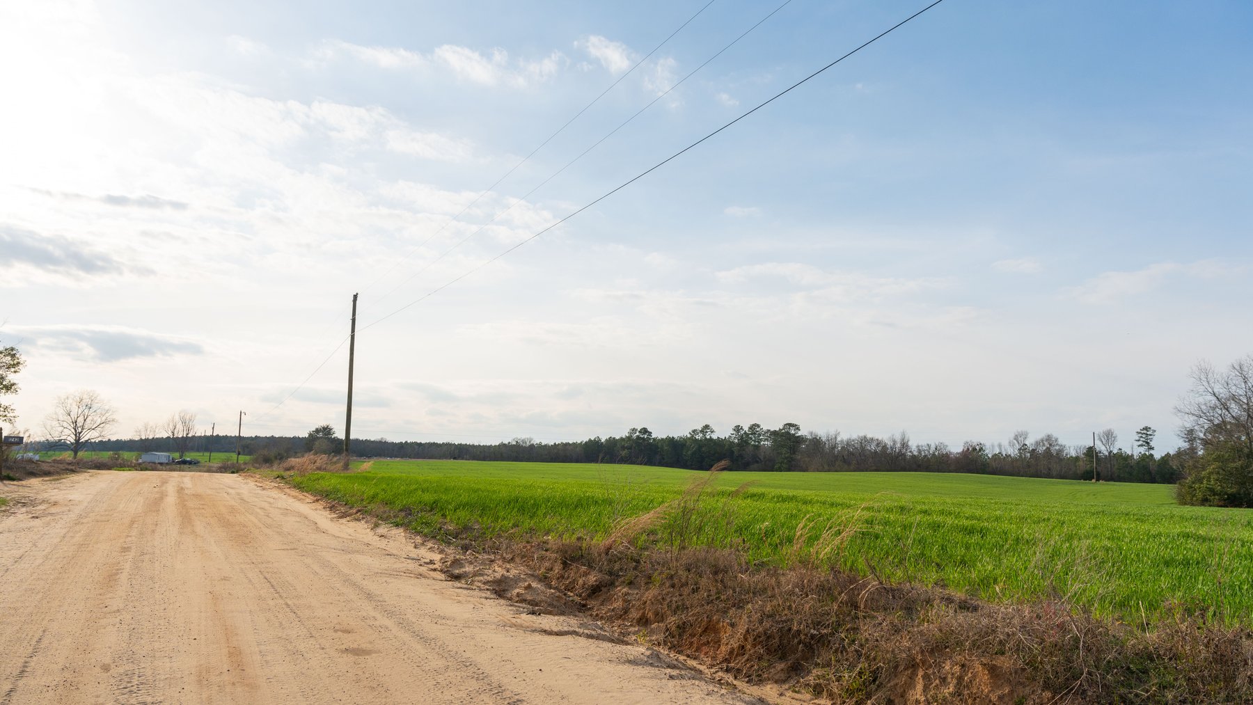 Image for The Graham Farm - 323+/- Acres - Dodge County, Georgia