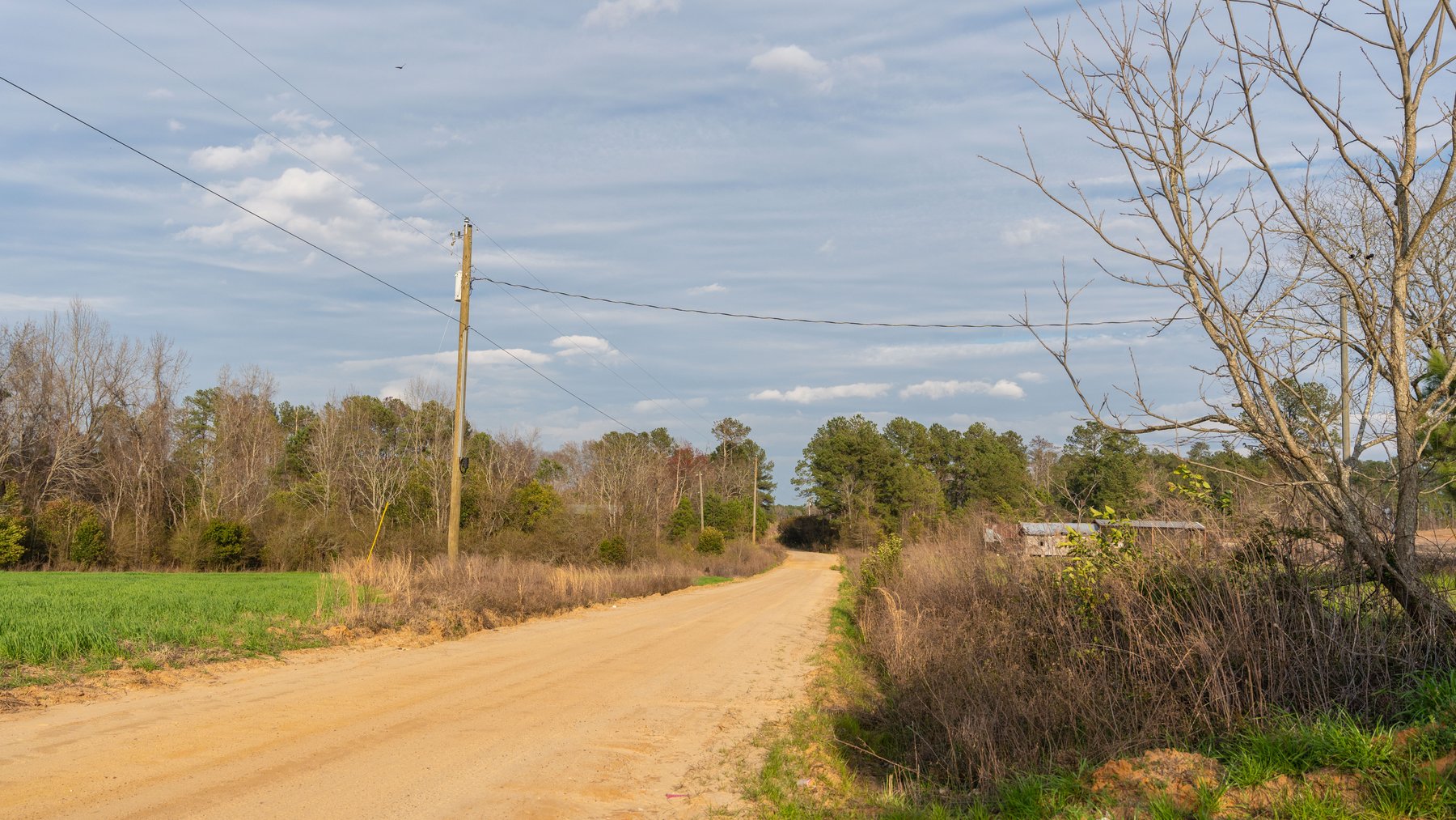 Image for The Graham Farm - 323+/- Acres - Dodge County, Georgia