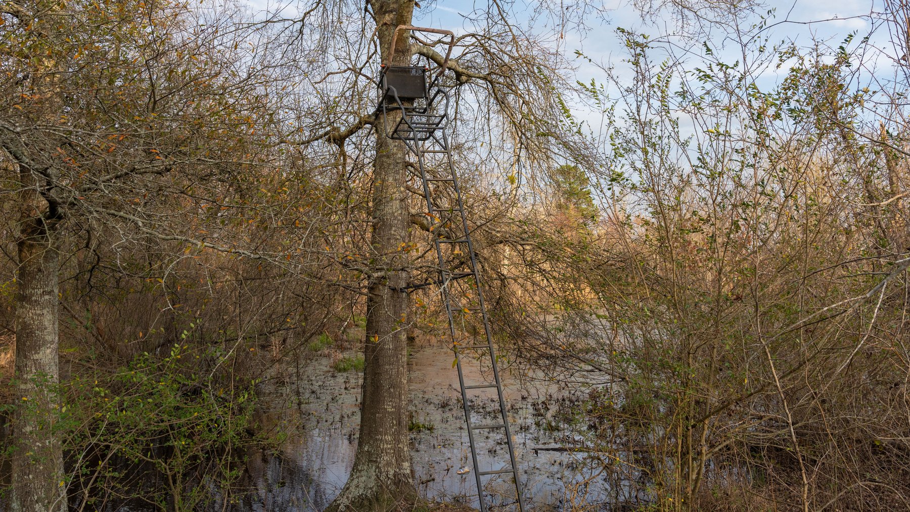 Image for The Graham Farm - 323+/- Acres - Dodge County, Georgia