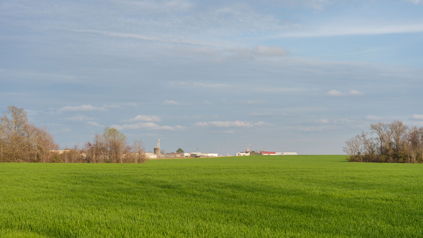 Image for The Graham Farm - 323+/- Acres - Dodge County, Georgia