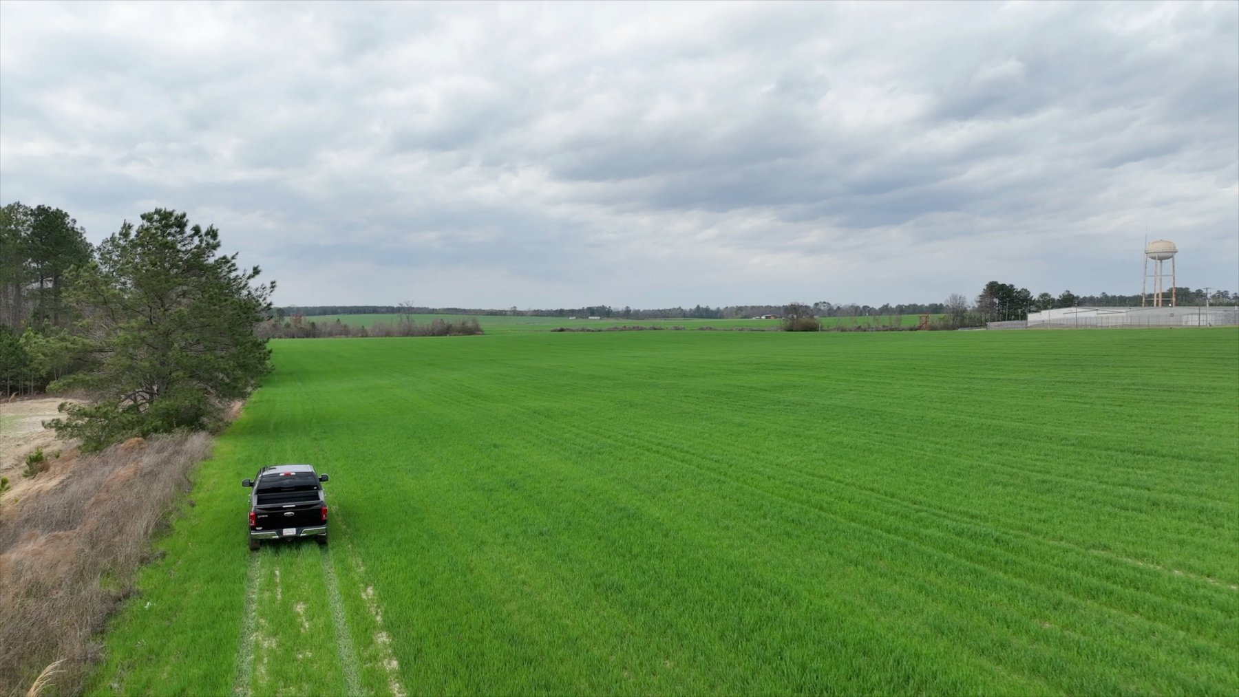 Image for The Graham Farm - 323+/- Acres - Dodge County, Georgia