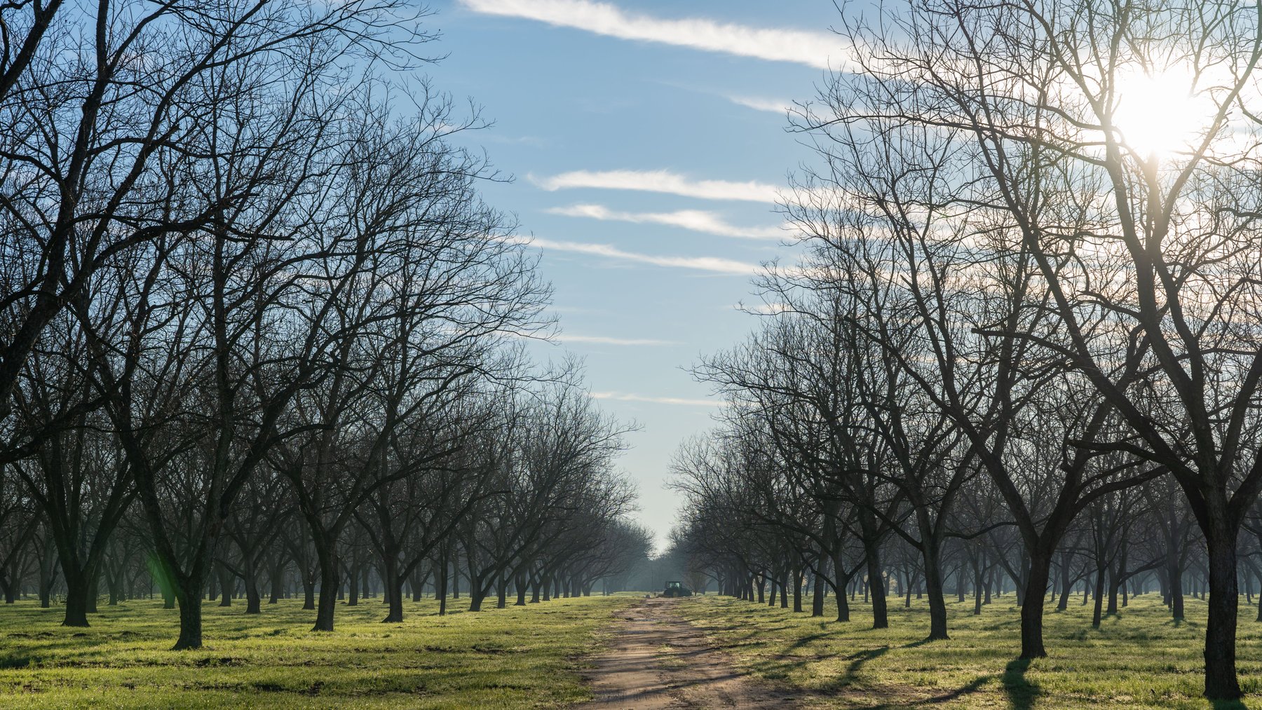 Image for Sidney Lanier Farms - 271+/- Acres - Whitewater Road Orchards