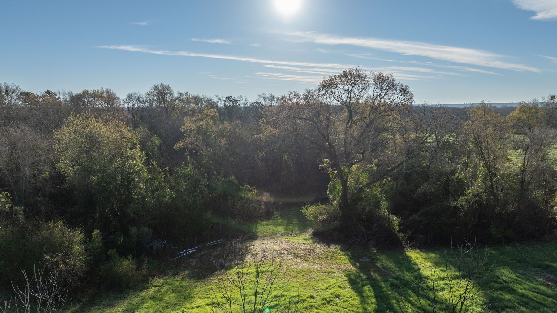 Image for Sidney Lanier Farms - 271+/- Acres - Whitewater Road Orchards