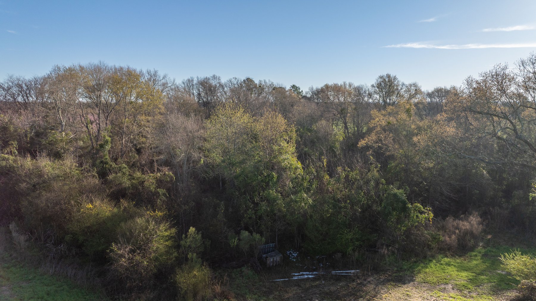 Image for Sidney Lanier Farms - 271+/- Acres - Whitewater Road Orchards