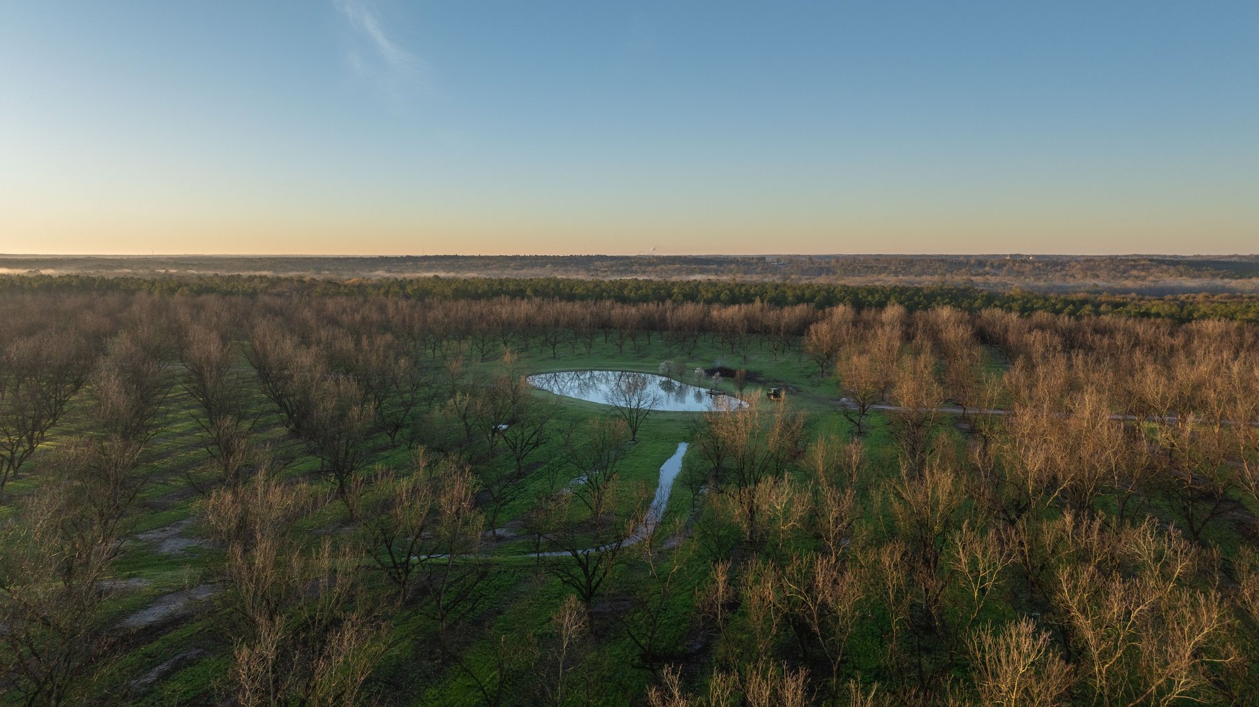Image for Sidney Lanier Farms - 271+/- Acres - Whitewater Road Orchards