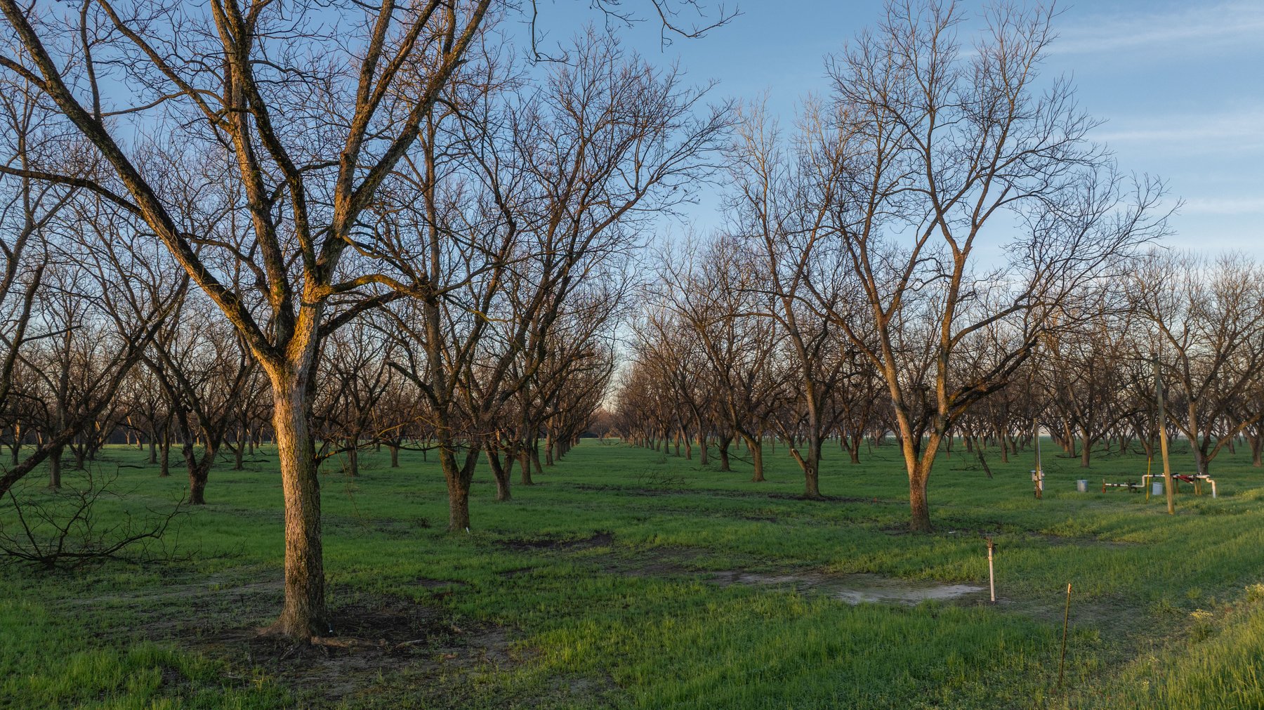Image for Sidney Lanier Farms - 271+/- Acres - Whitewater Road Orchards