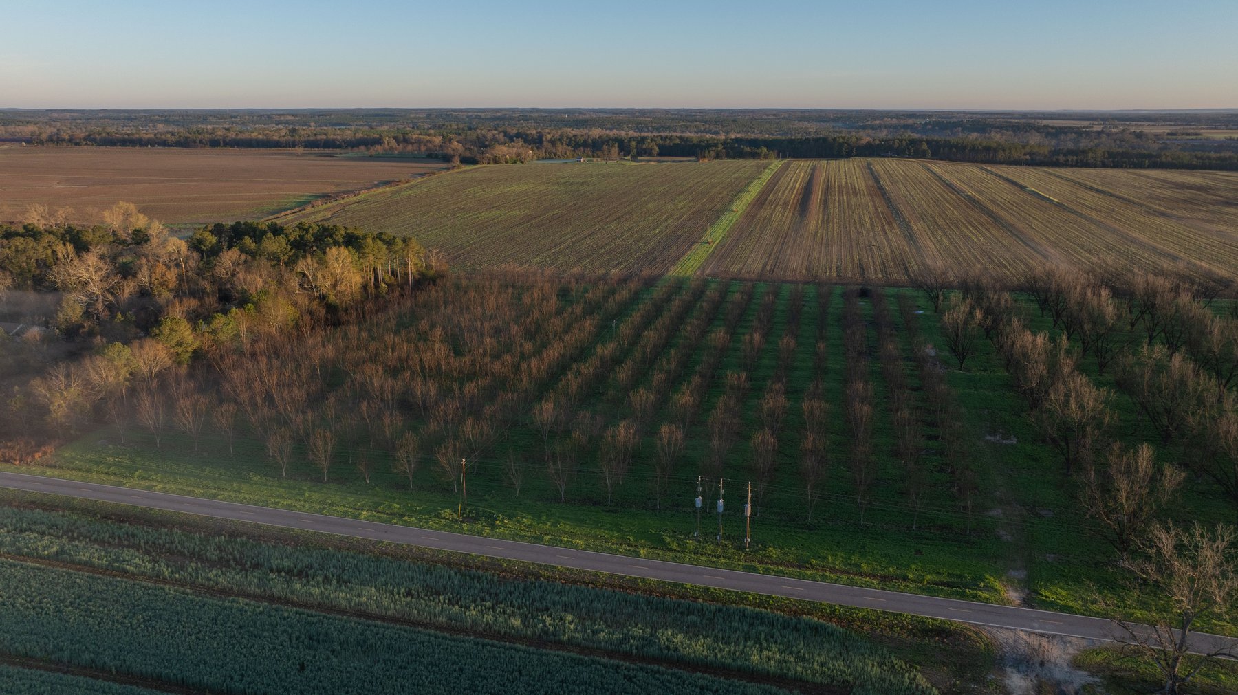 Image for Sidney Lanier Farms - 271+/- Acres - Whitewater Road Orchards