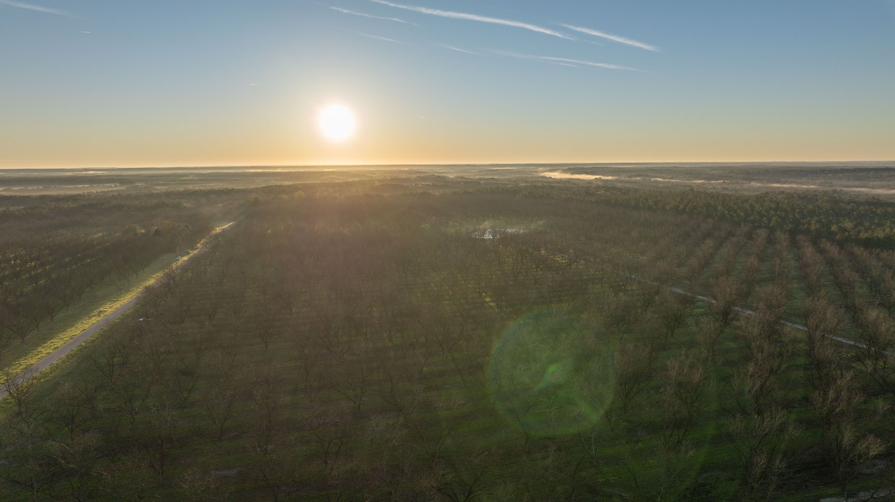 Image for Sidney Lanier Farms - 271+/- Acres - Whitewater Road Orchards