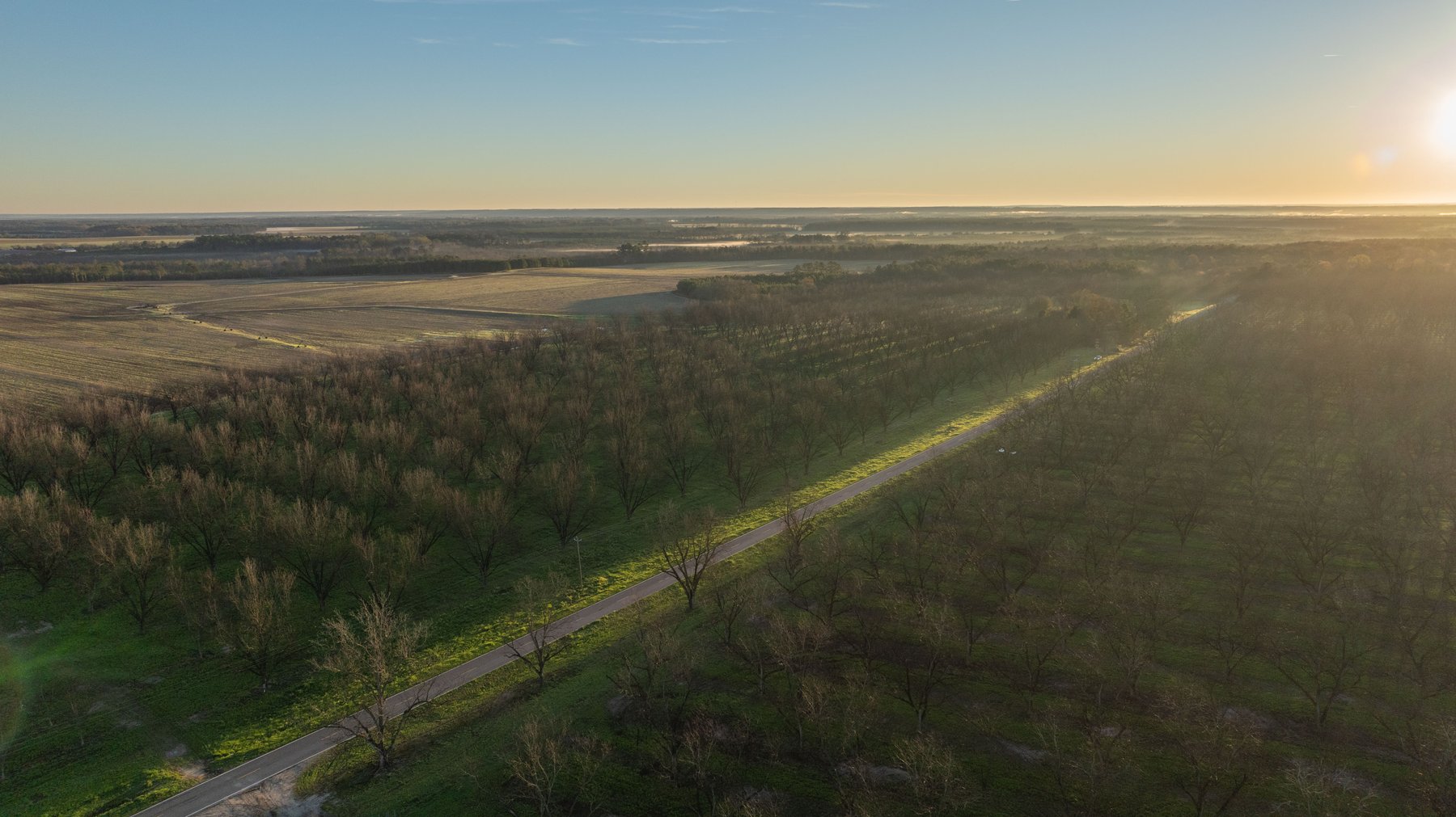Image for Sidney Lanier Farms - 271+/- Acres - Whitewater Road Orchards