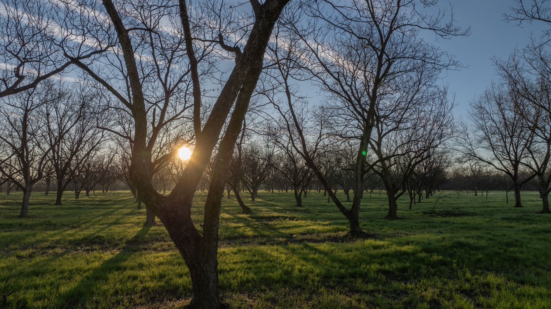 Image for Sidney Lanier Farms - 271+/- Acres - Whitewater Road Orchards