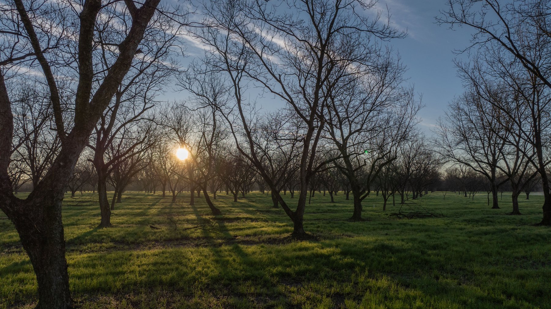 Image for Sidney Lanier Farms - 271+/- Acres - Whitewater Road Orchards