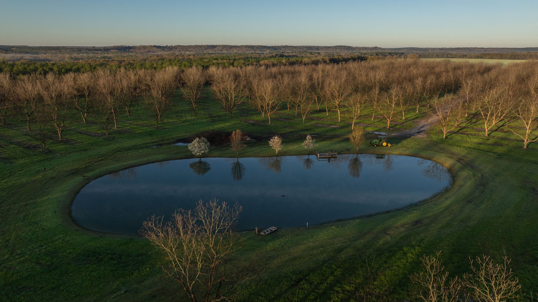 Image for Sidney Lanier Farms - 271+/- Acres - Whitewater Road Orchards