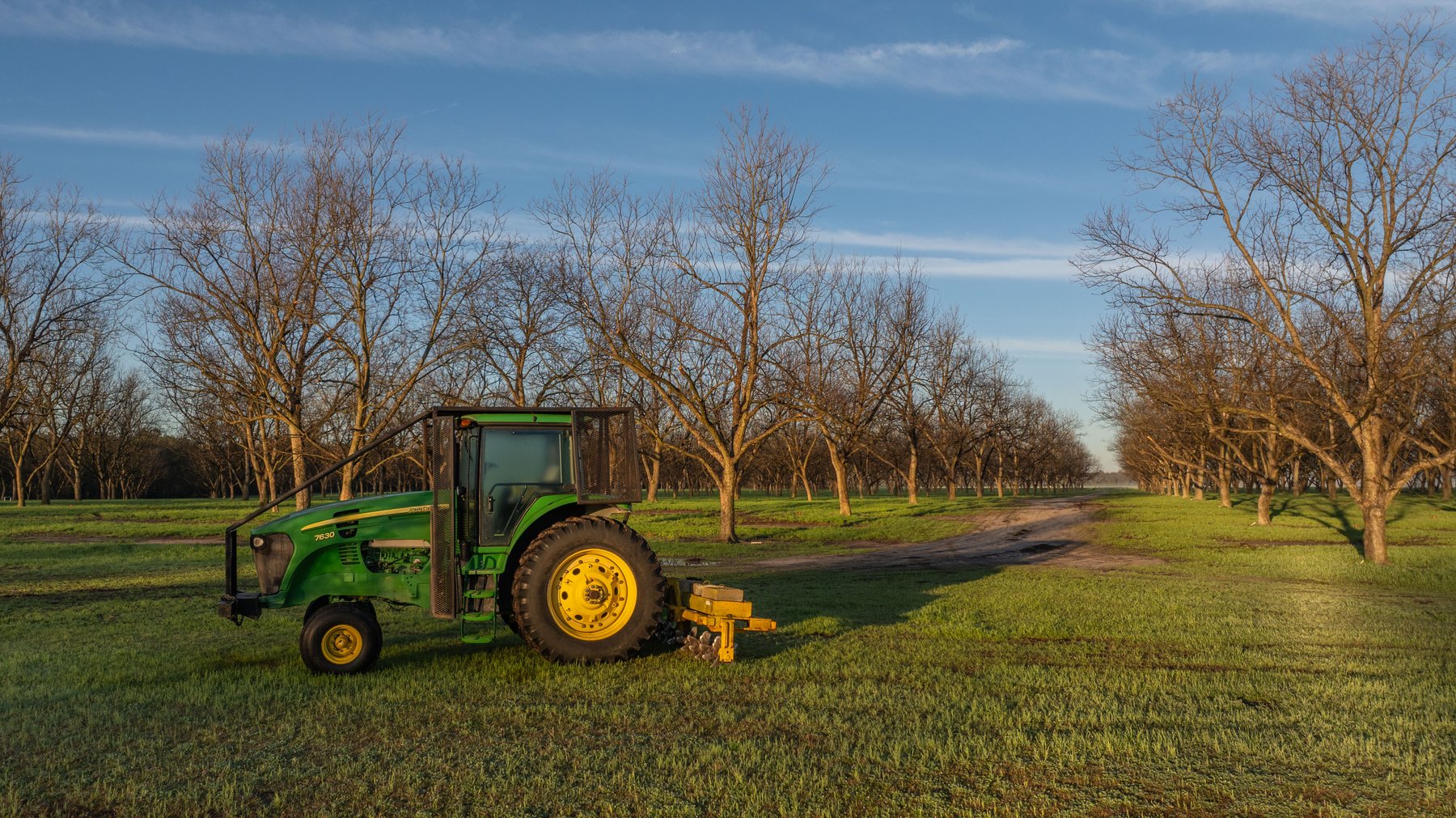 Image for Sidney Lanier Farms - 271+/- Acres - Whitewater Road Orchards